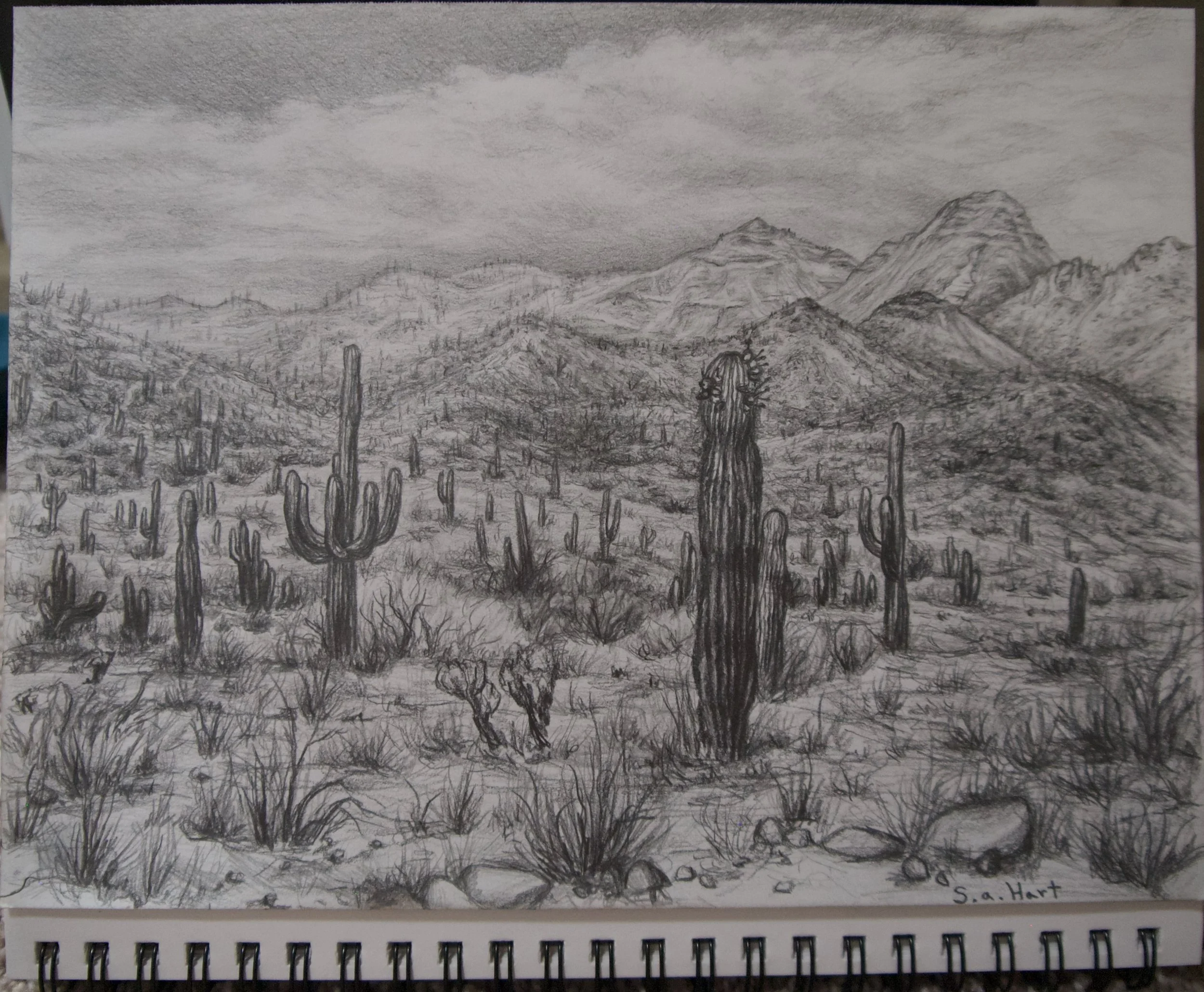 Delicate Desert Drawings edited - 10 of 23.jpeg