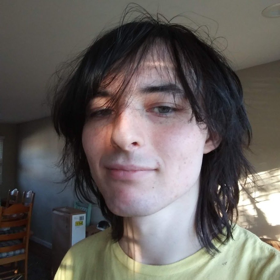 A young man with medium-length, messy black hair and light skin, taking a selfie indoors with sunlight shining on his face.