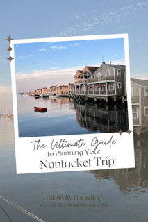 The Ultimate Guide (3).PNG