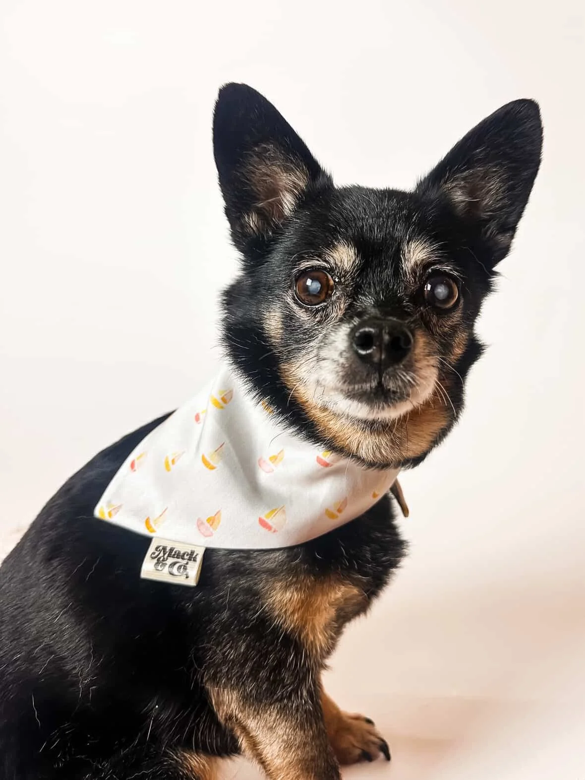Dog wearing a Mack & Co bandana made with Rachel de Bruyn’s Watercolour Boats pattern.