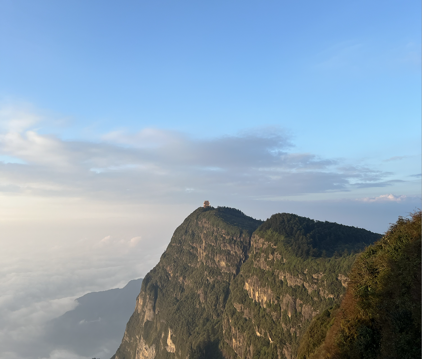 Screenshot 2024-10-20 at 10.22.03 AM.png