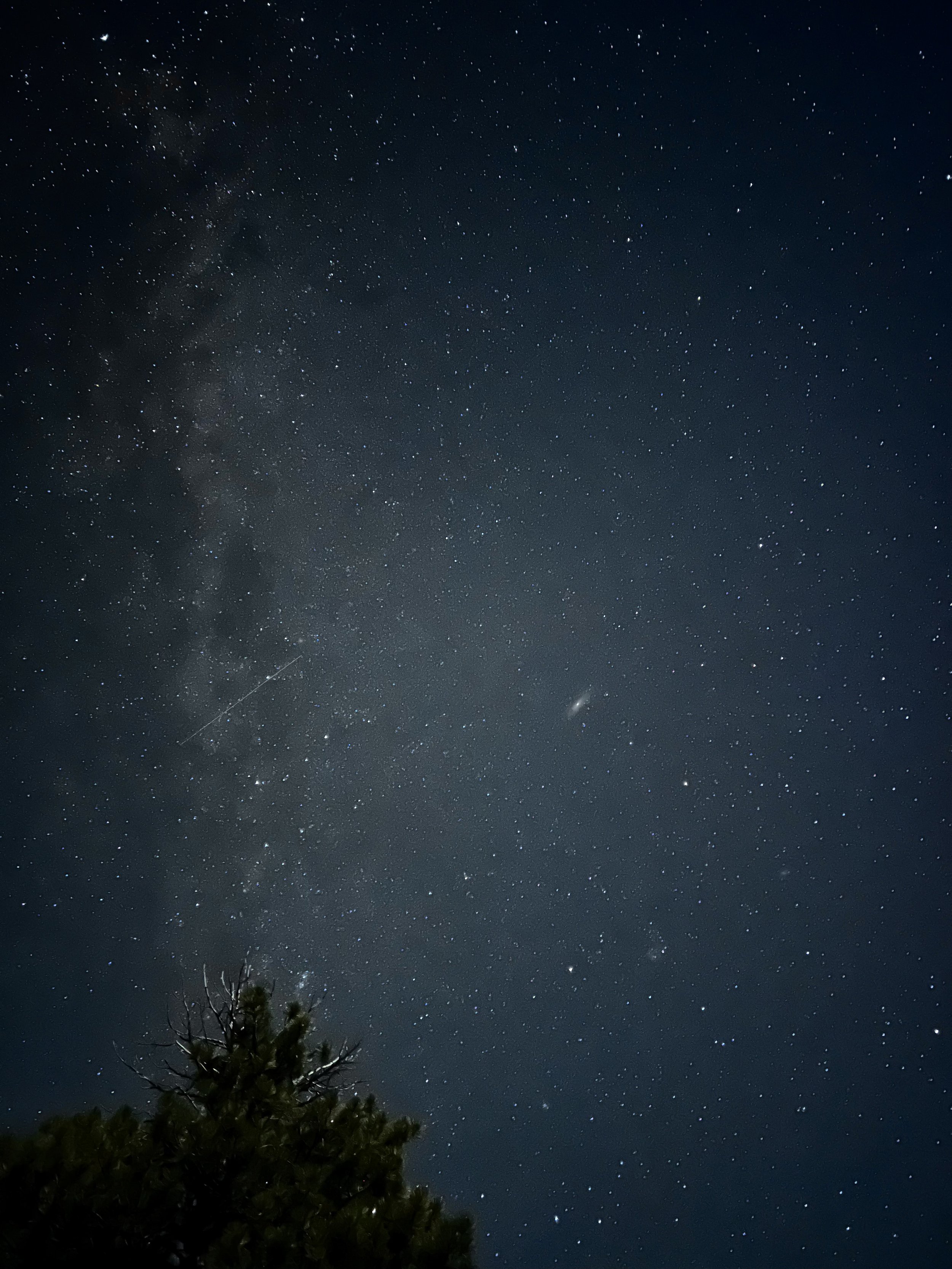 Blog 11: Obedience Over Ease