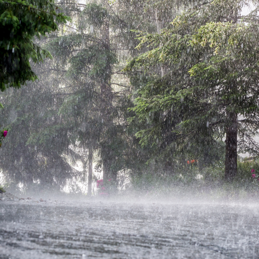 Sometimes It Rains