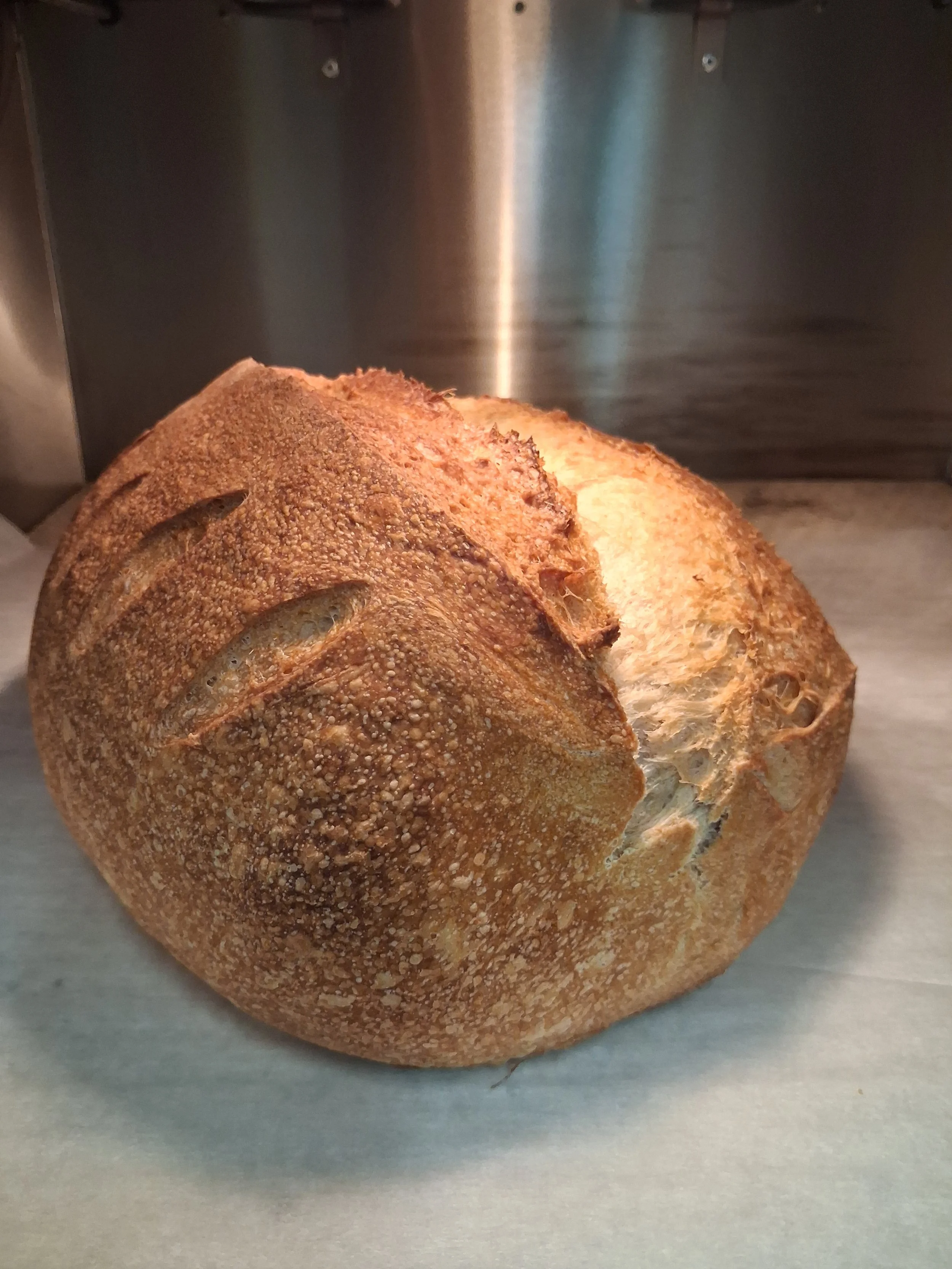 Sourdough Organic bread