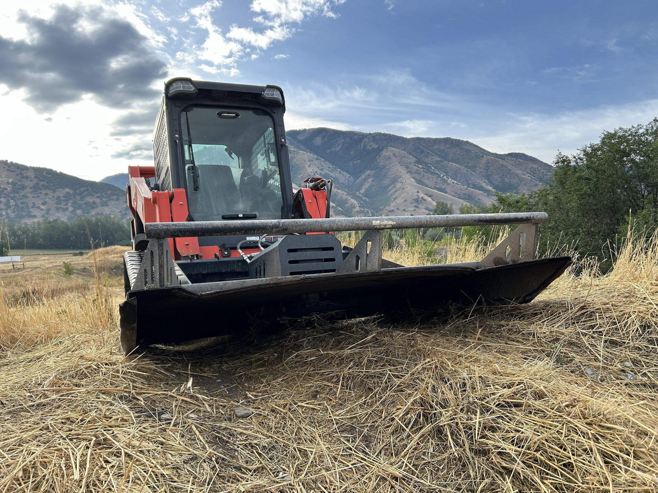 Brush cutting in Logan Utah