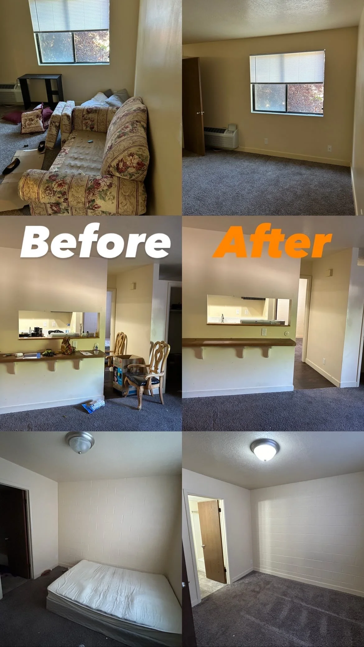 Apartment Trash Out in Logan, Utah