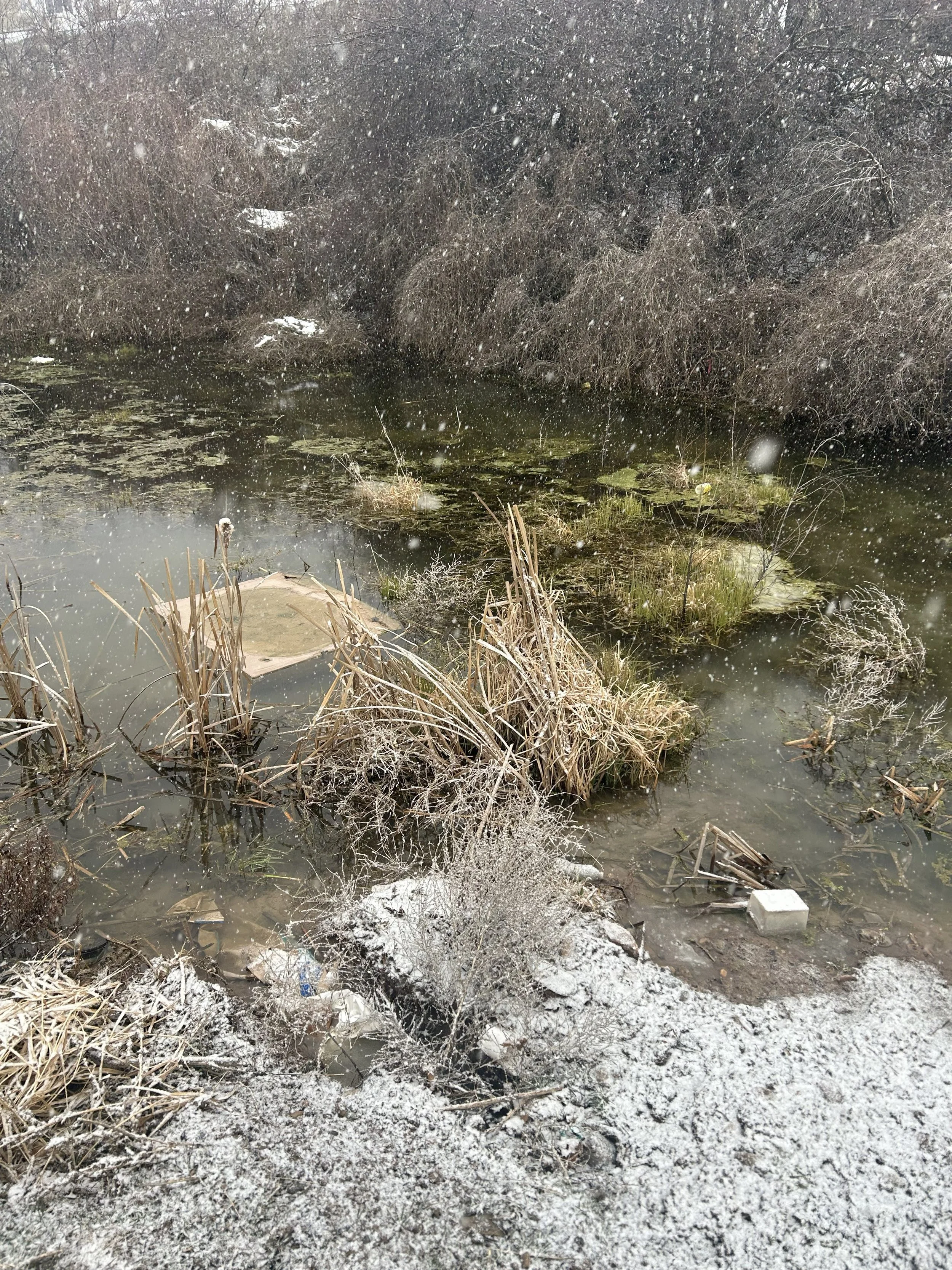 Construction site cleanup in Logan, Cache County, Utah