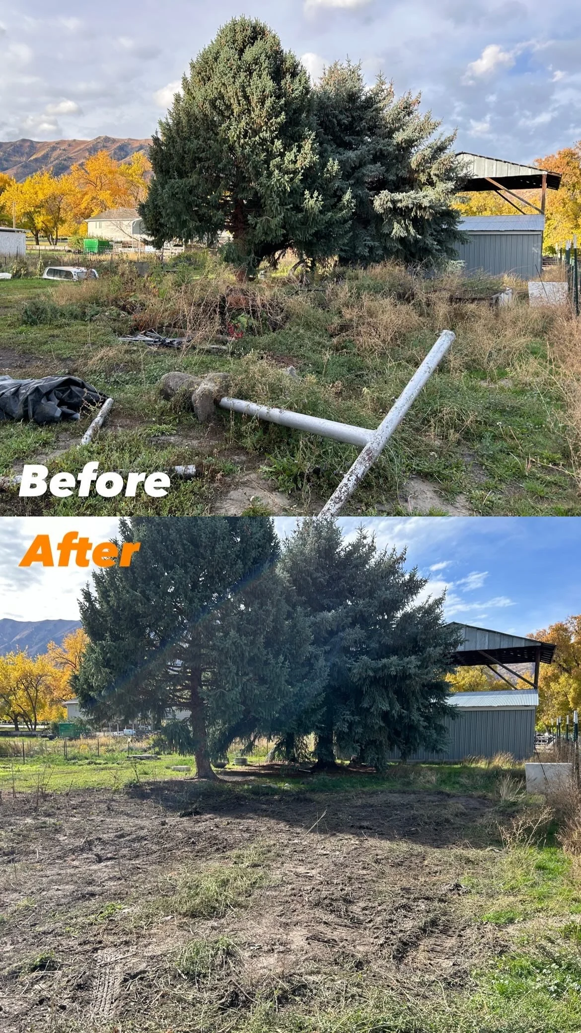 Homestead Cleanup in Mendon, Utah
