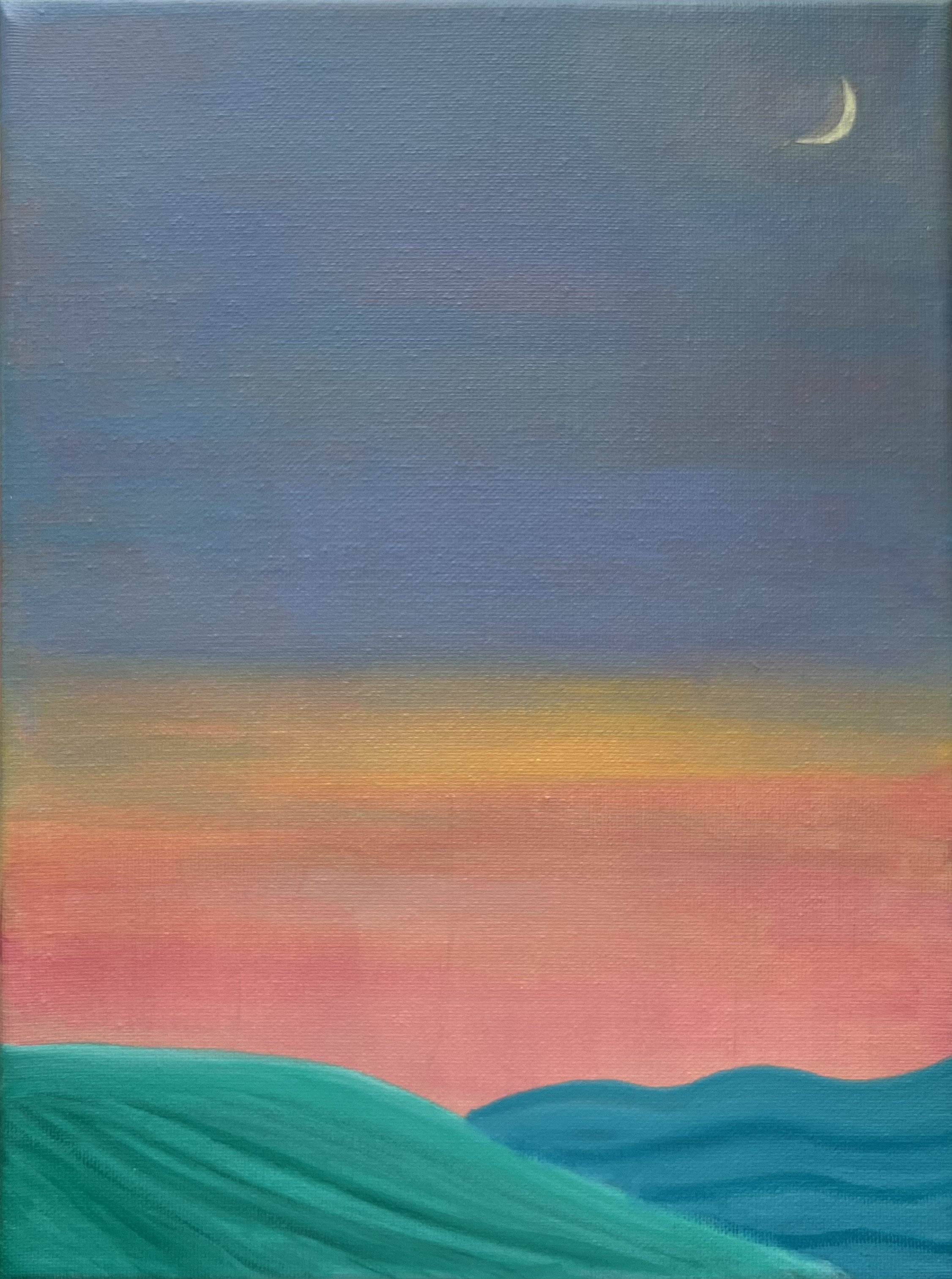 Land and Sea Underneath Crescent Moon 9"x12" Acrylic on Canvas
Price Upon Request