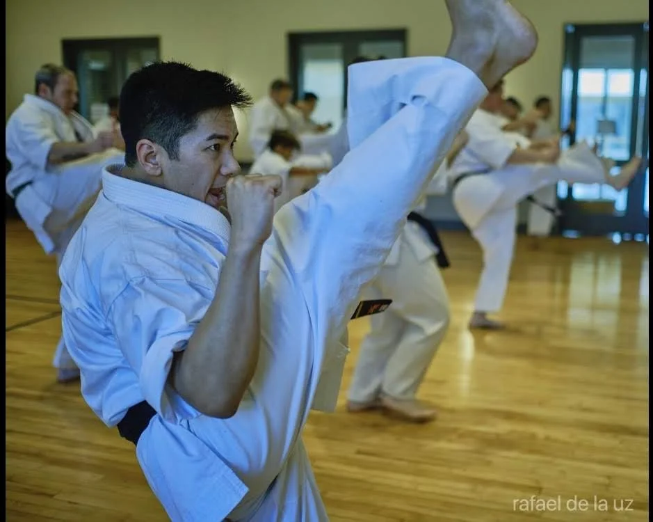 Senpai Sogyel Lhungay Maekeage Kick