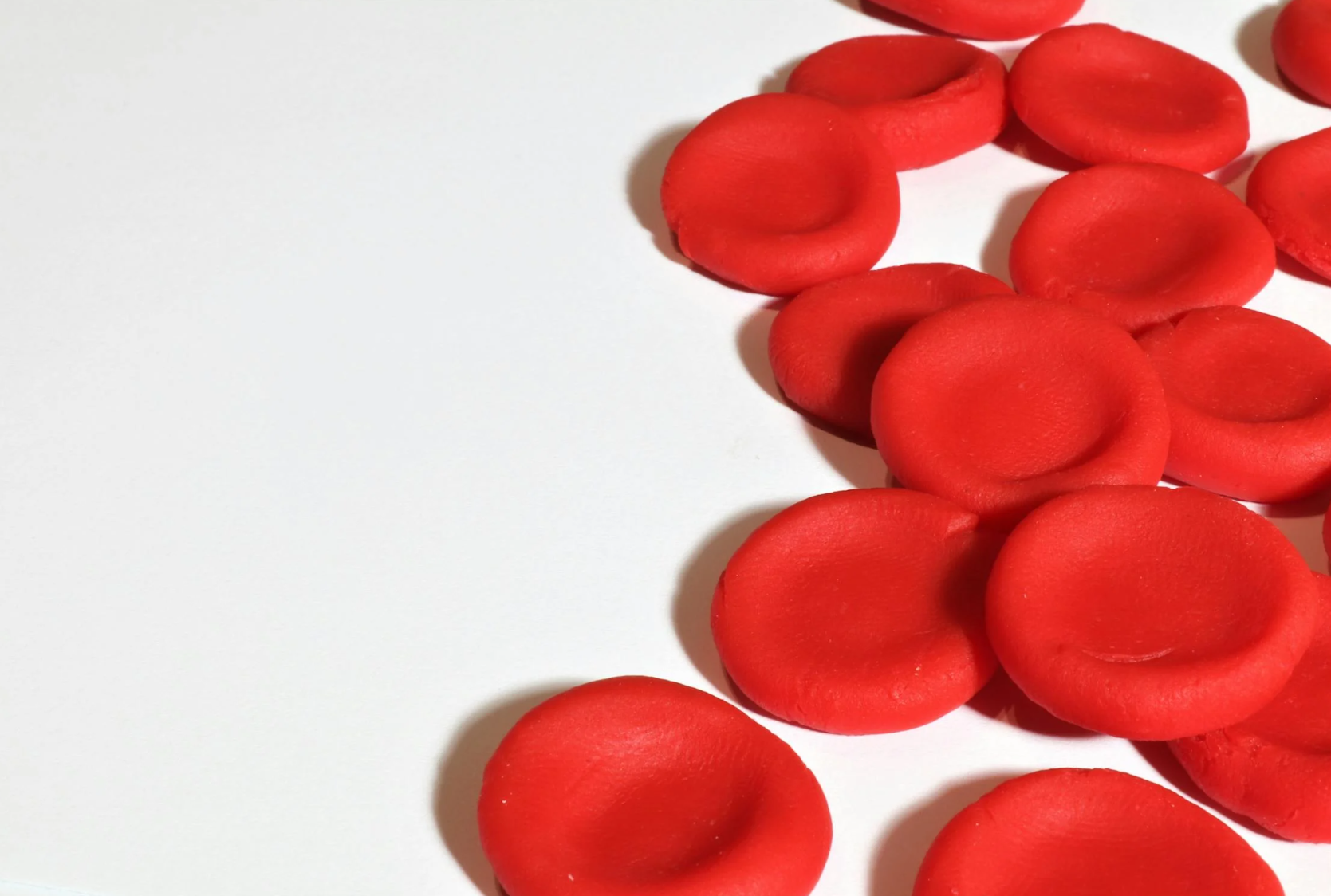 The Brain and Iron Deficiency