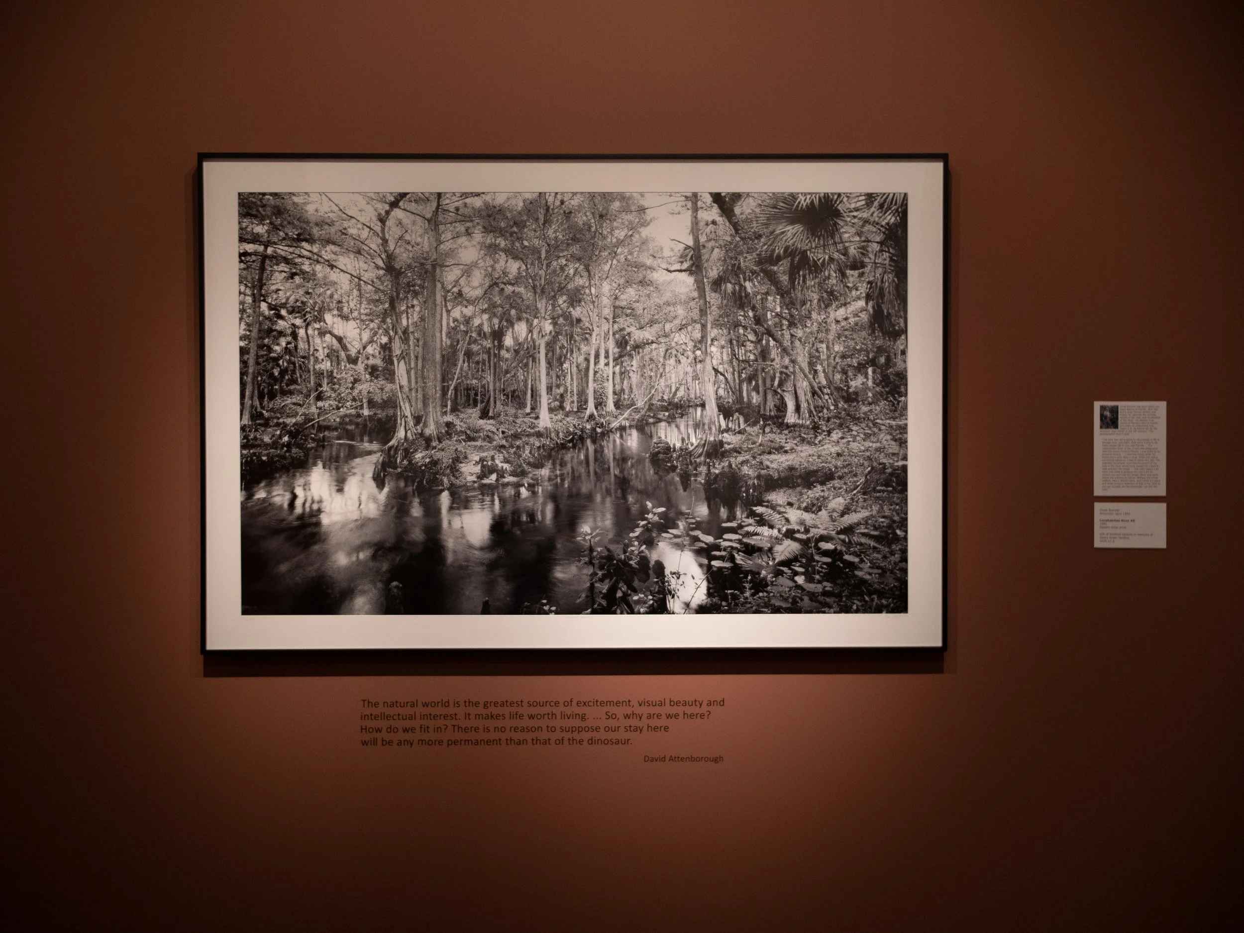 P3490175.jpg