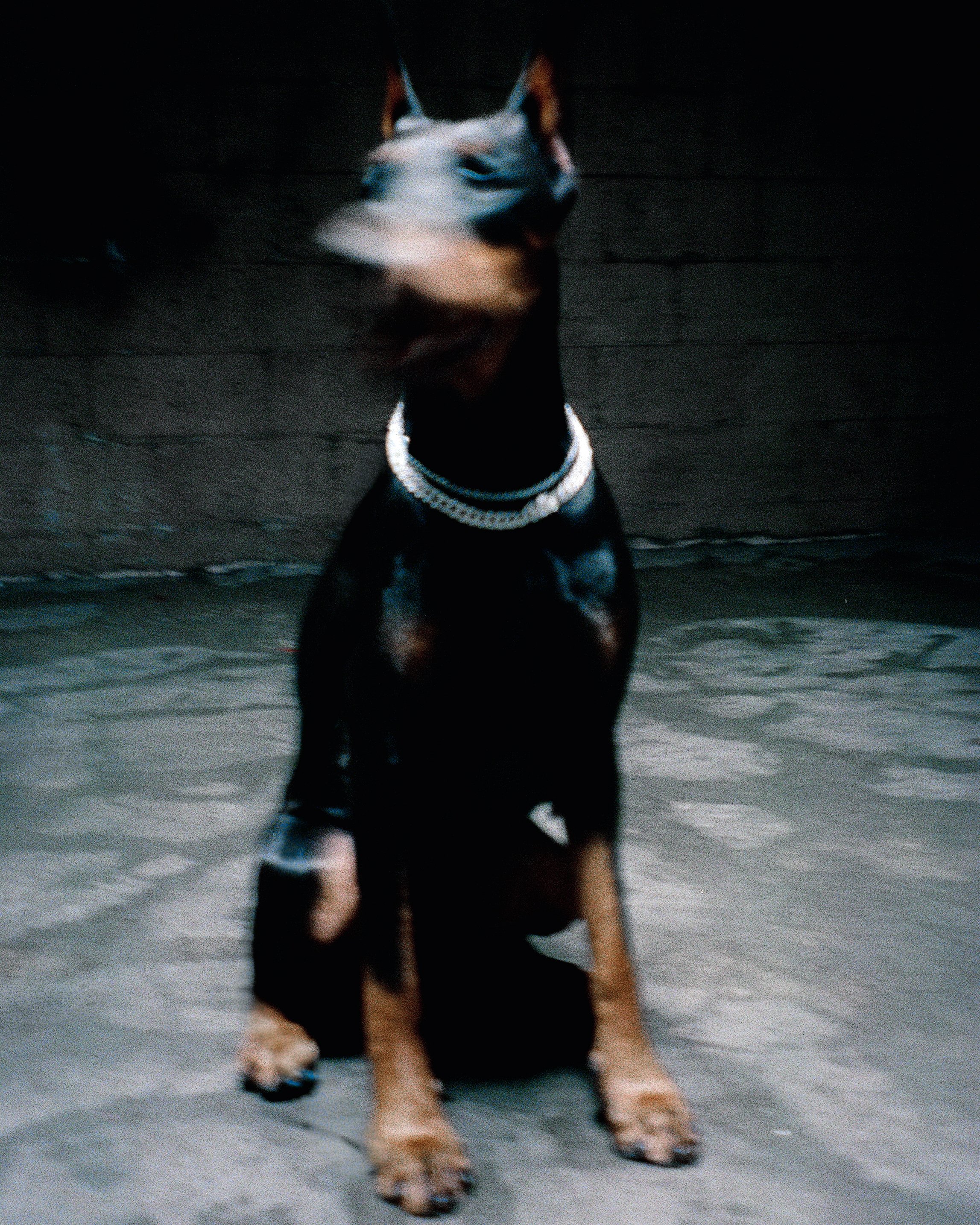 LOU dig-20.jpg