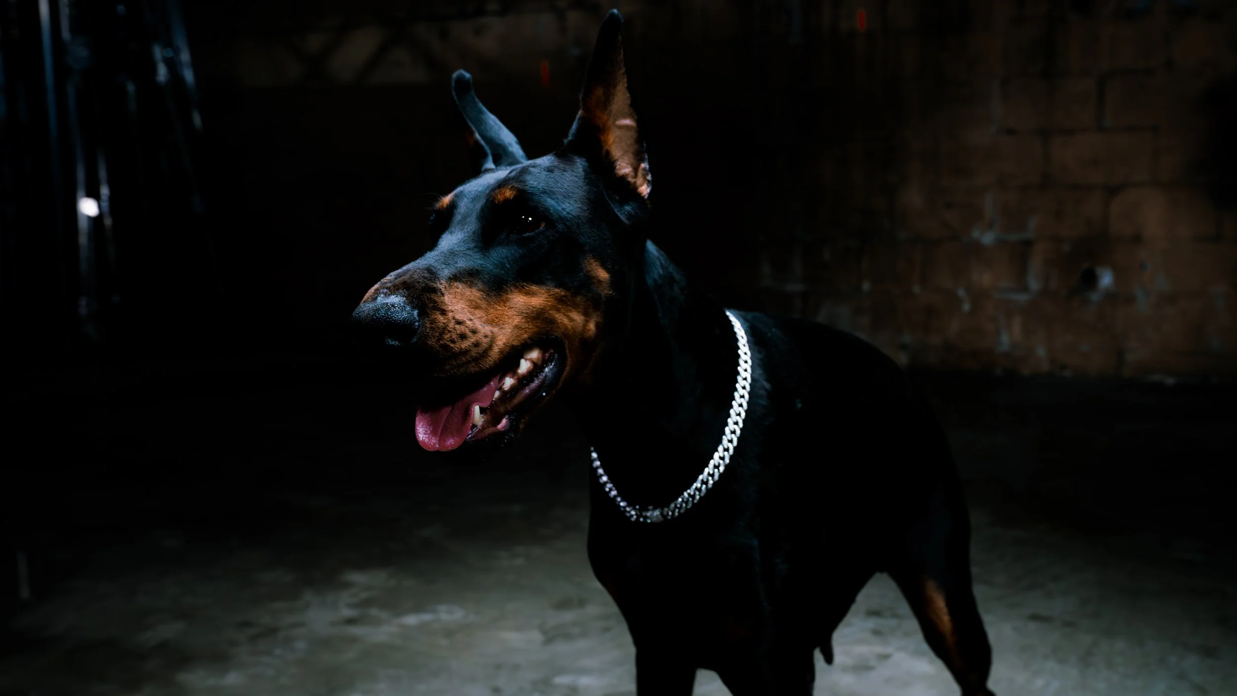 LOU dig (14 of 19).jpg