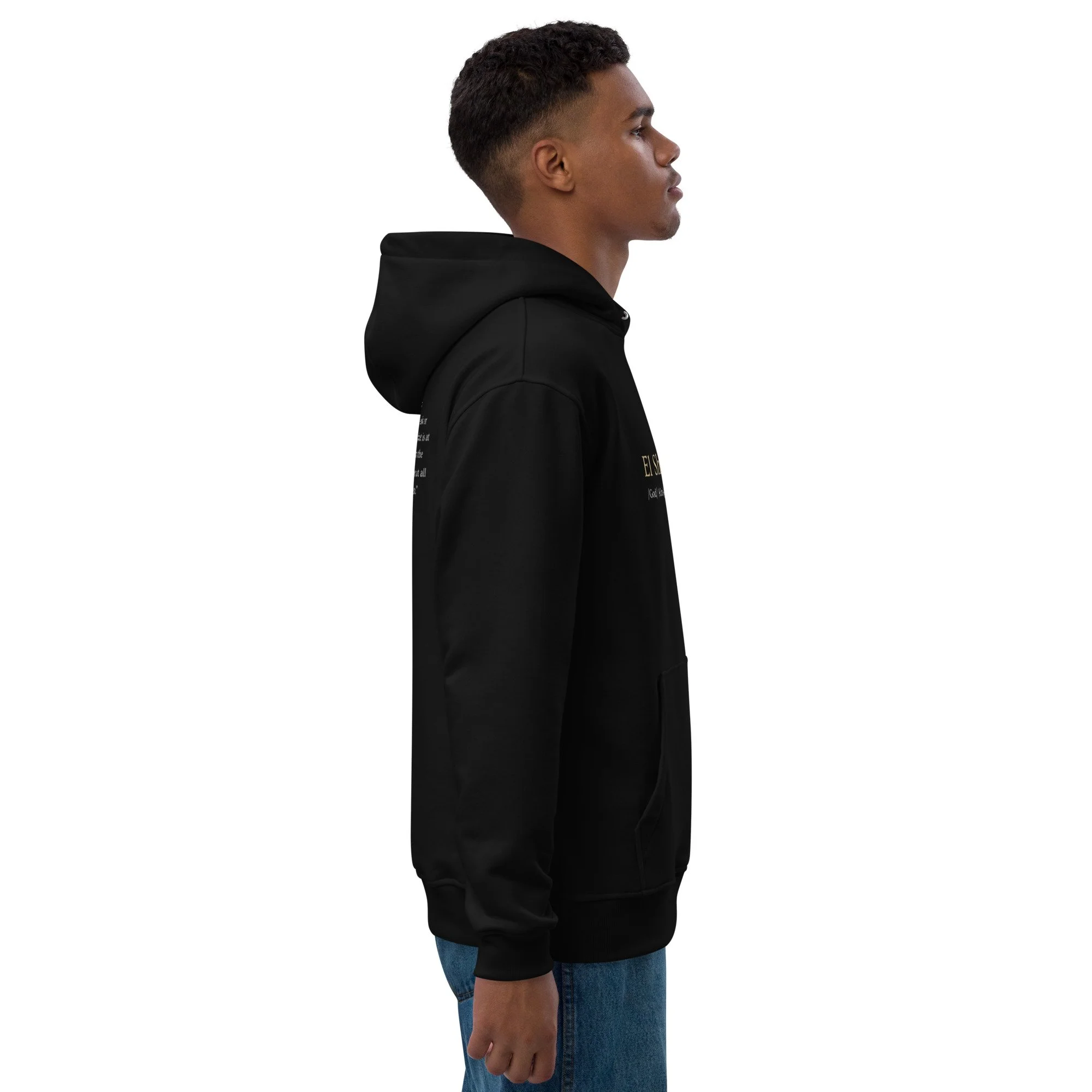 premium-eco-hoodie-black-right-67fc757f06ddd.jpg