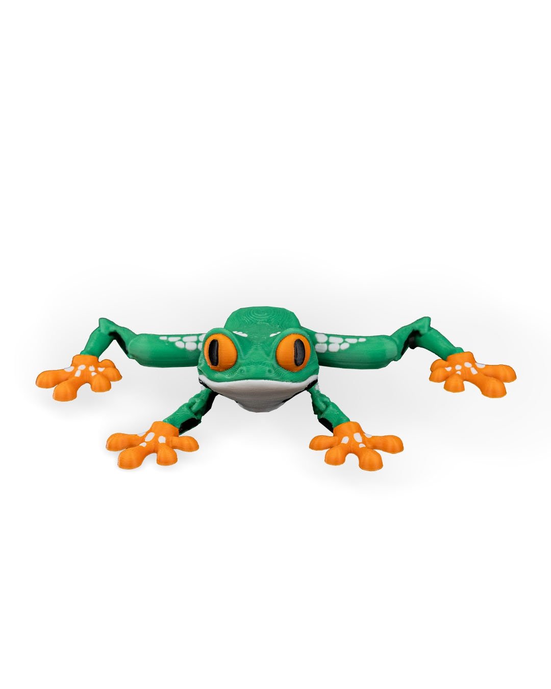 Reed_the_Red_Eyed_Tree_Frog_WB_1_85e4d0a1aa.jpg