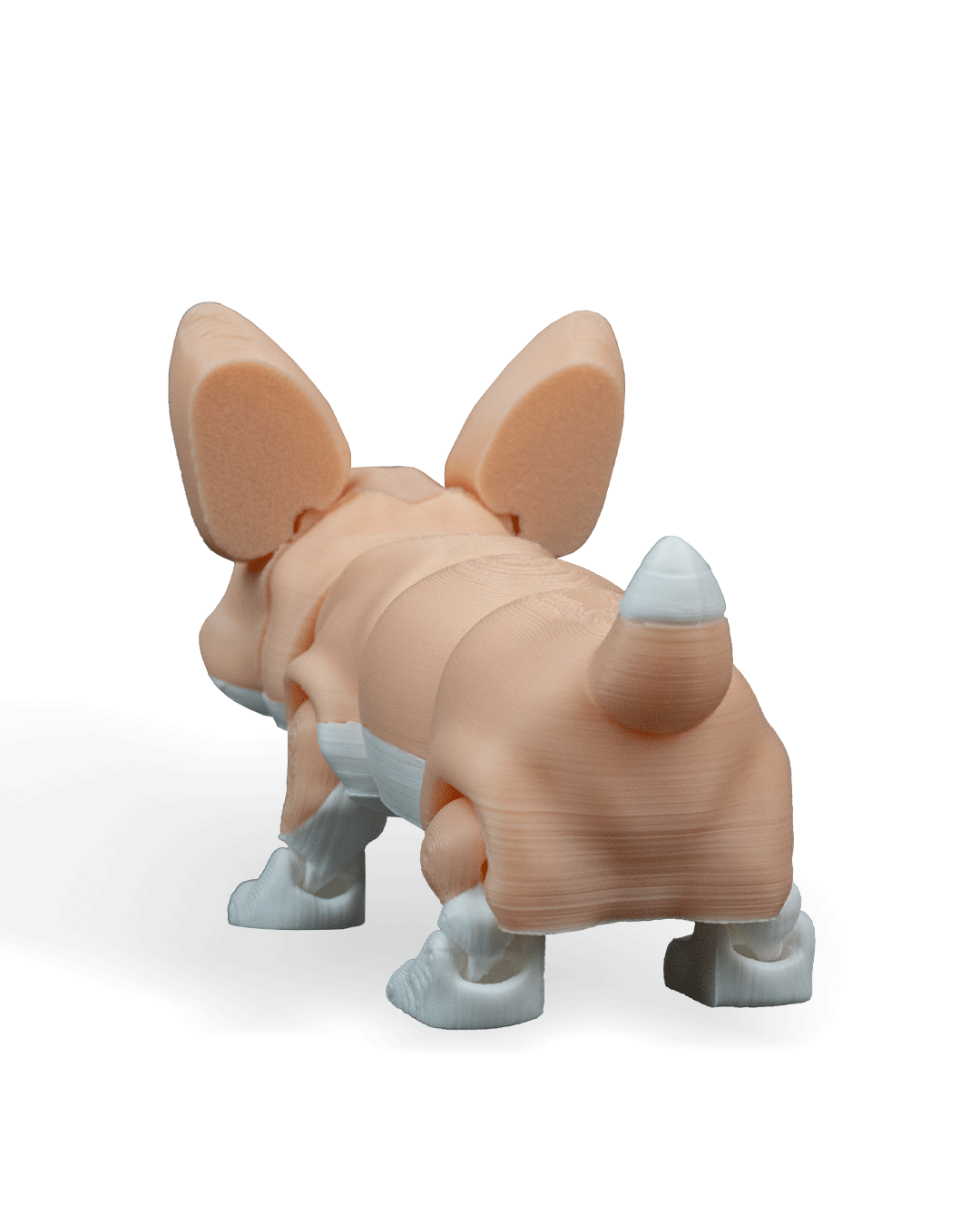 Rufus_the_Welsh_Corgi_WB_4_b0ffbf08d9.png
