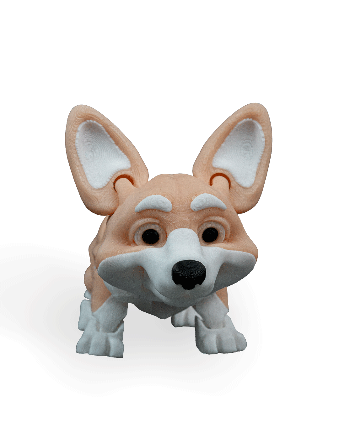 Rufus_the_Welsh_Corgi_WB_1_dc727e9c72.png