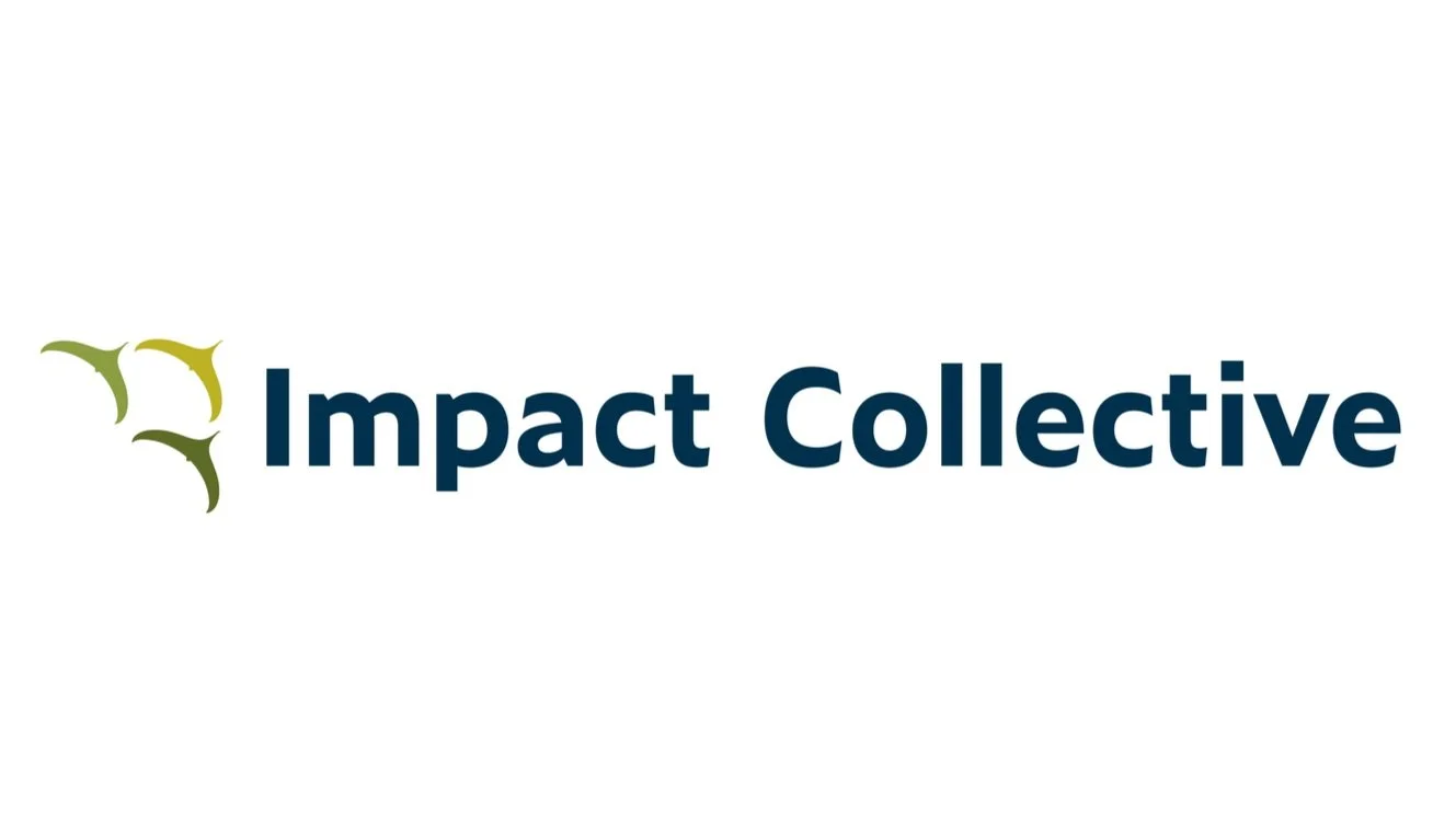 Impact Collective1.jpg