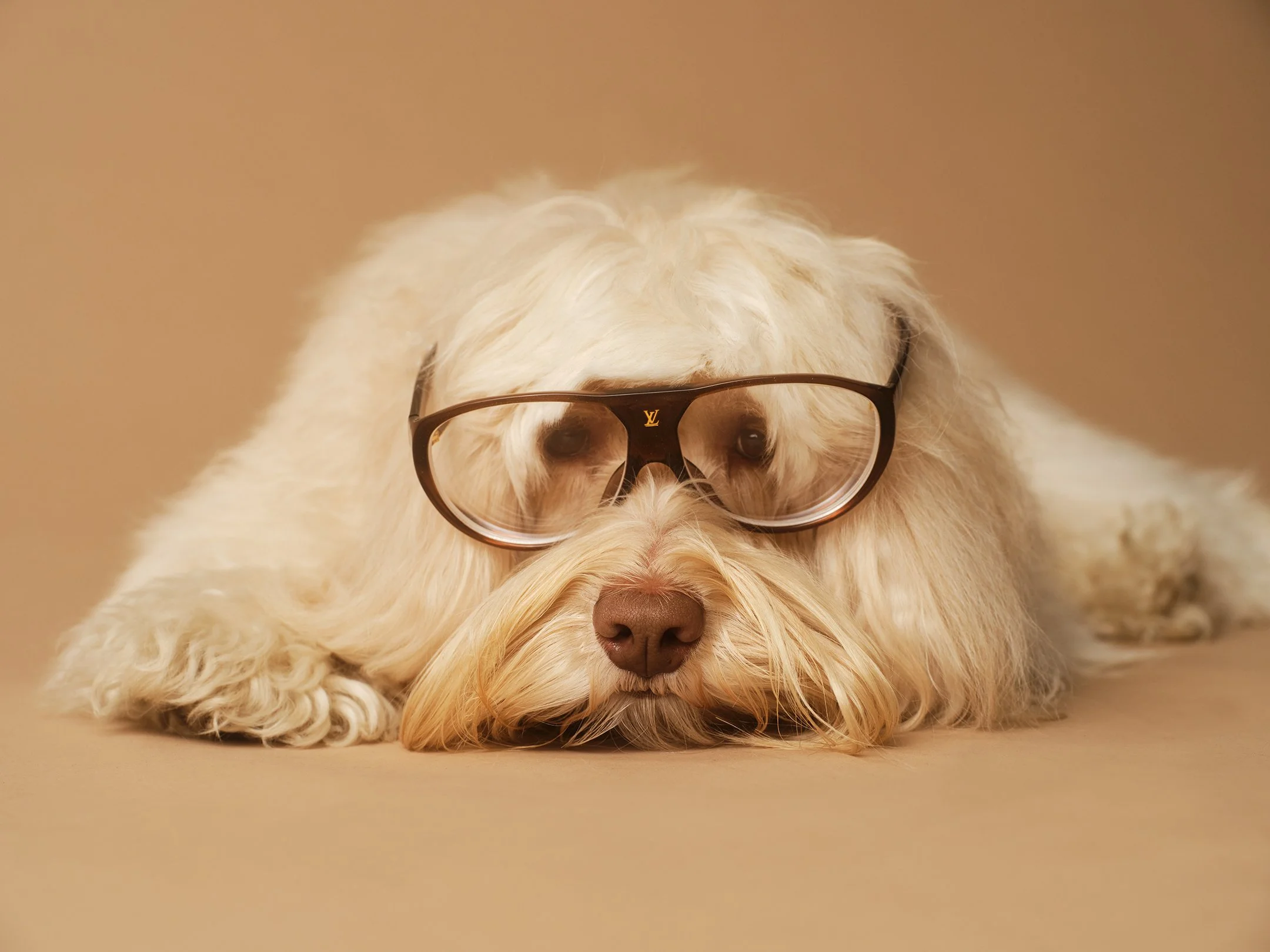 Miss Honey1893 copy 2.jpg