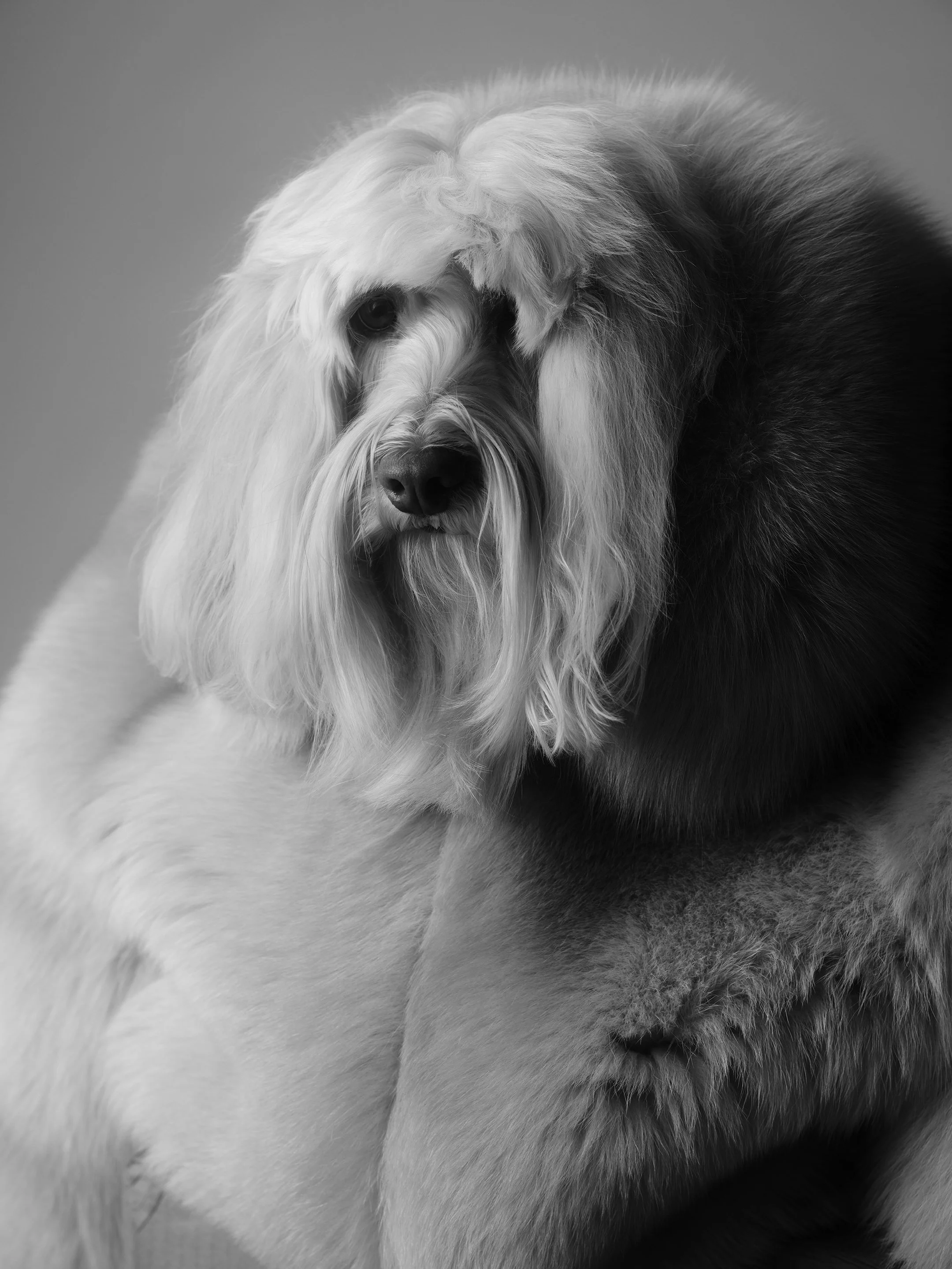 Miss Honey1866 copy 2.jpg