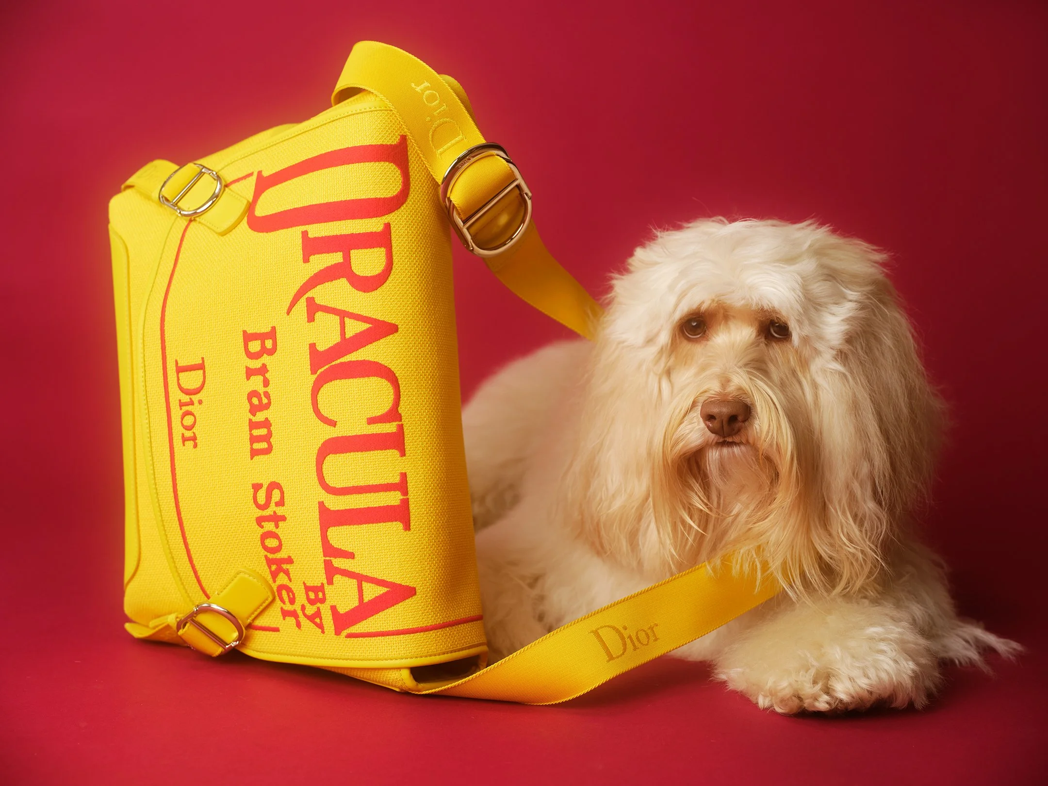 Miss Honey2865 copy 2.jpg