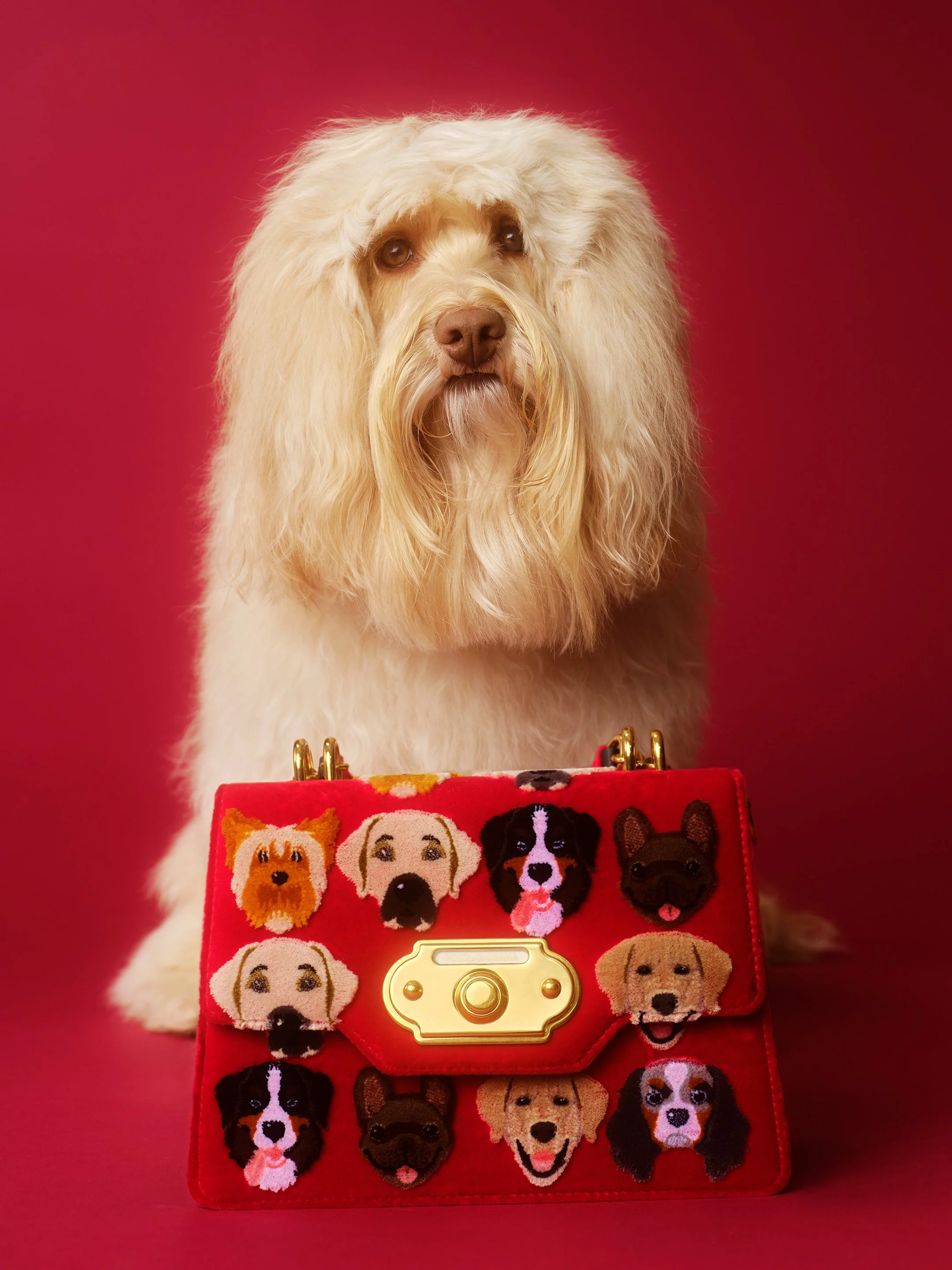 Miss Honey2603 copy 2.jpg