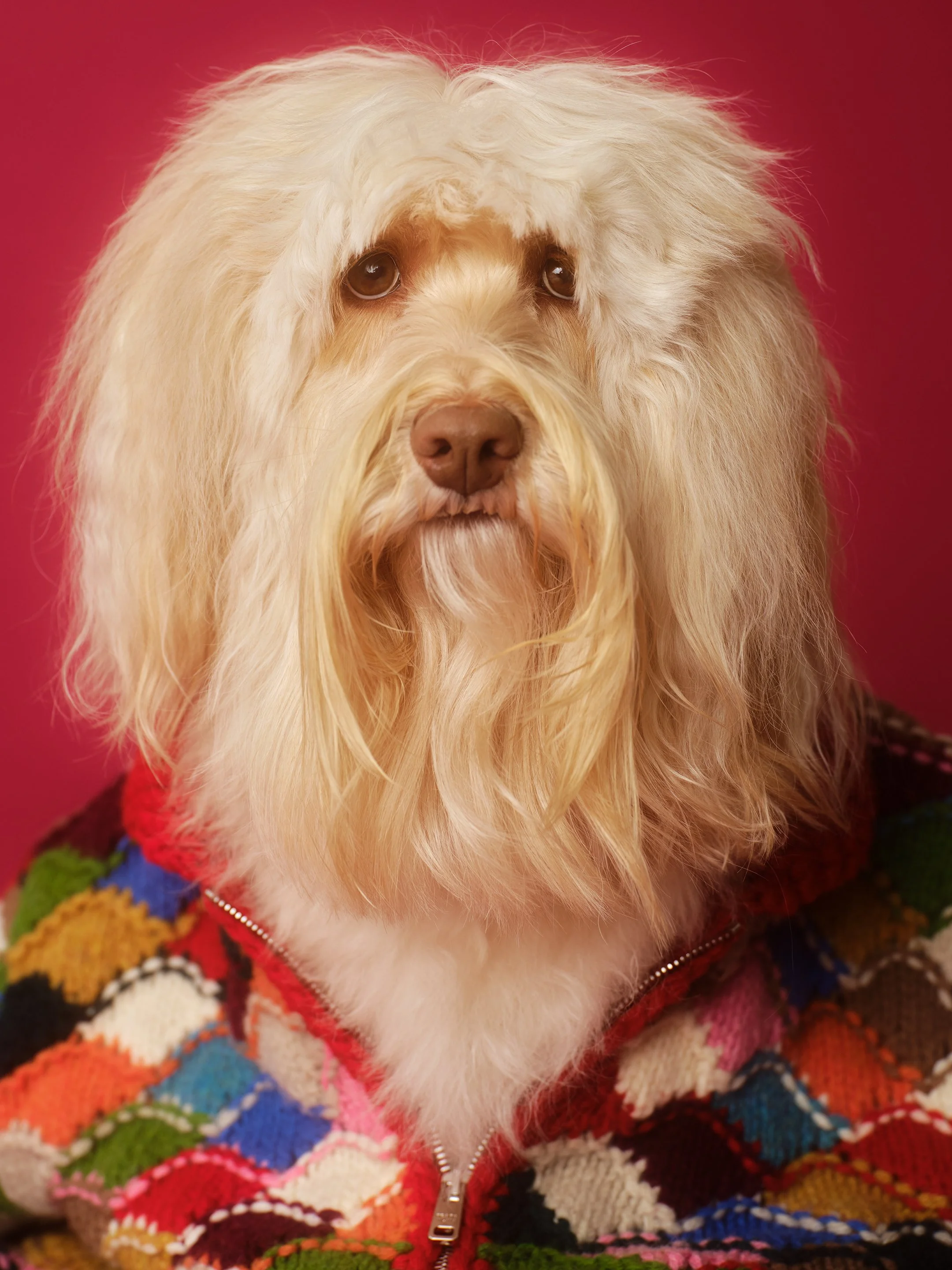 Miss Honey2679 copy 2.jpg