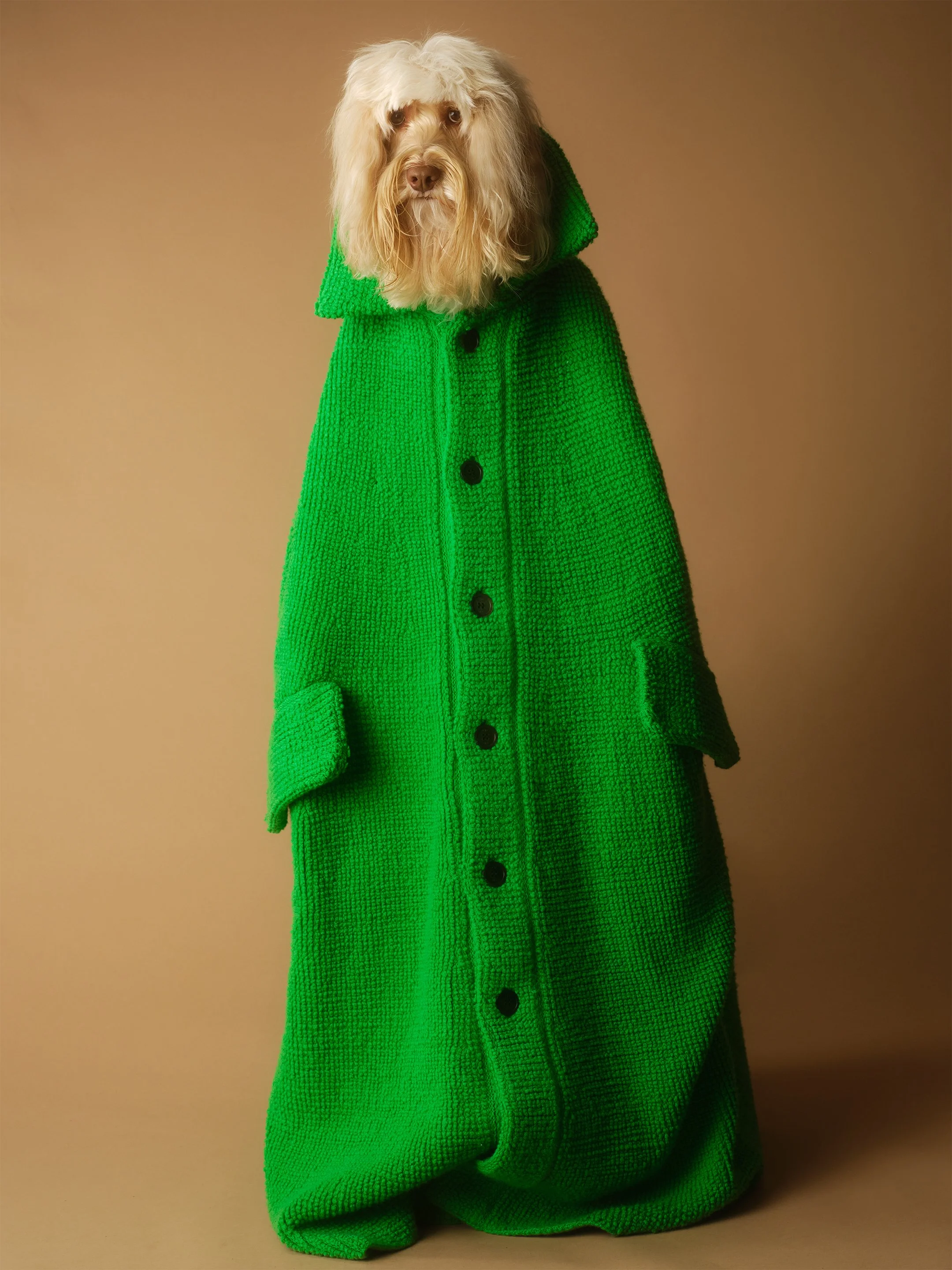 Miss Honey2185 1 copy 2.jpg