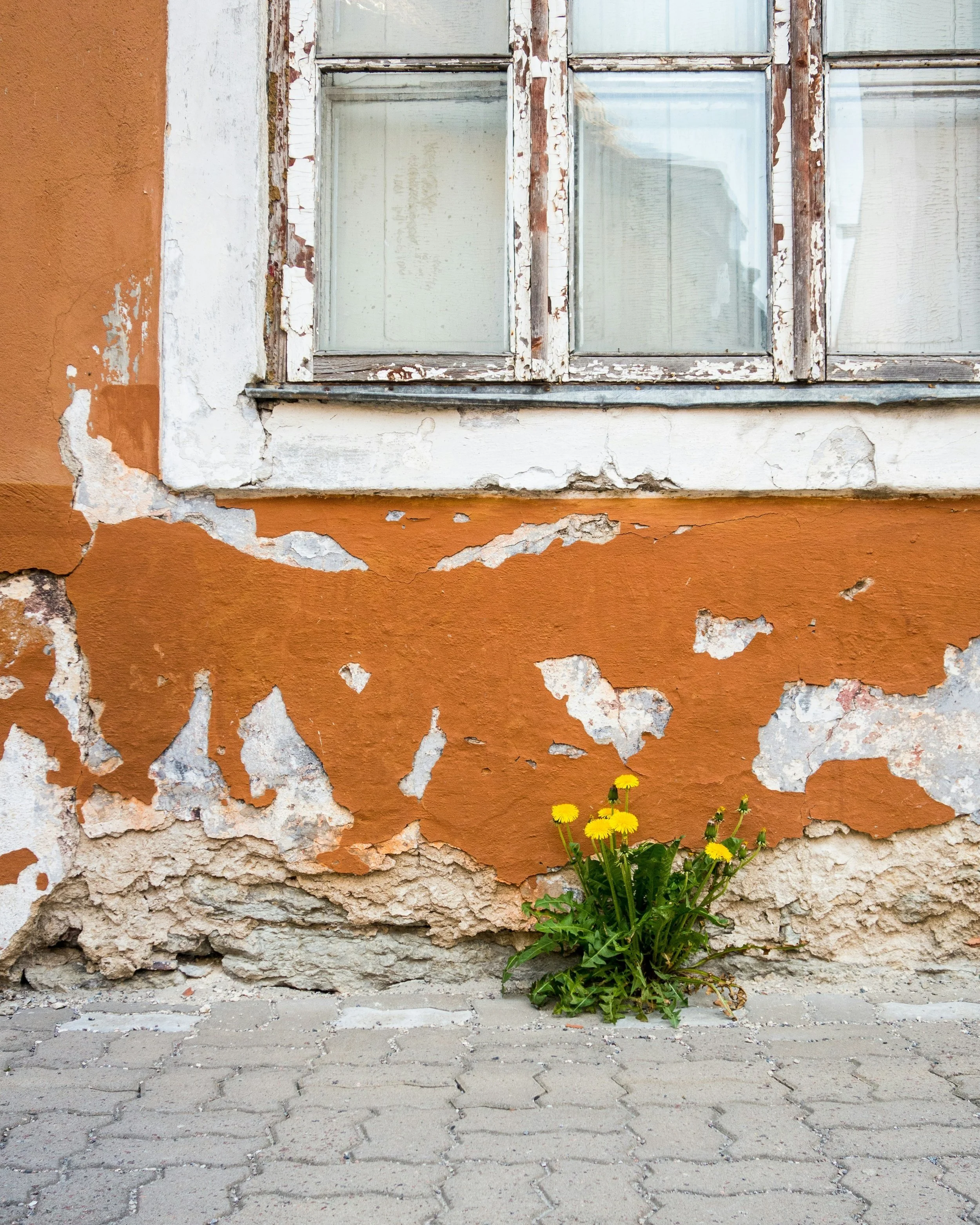 Help! I’m an expert weed grower!