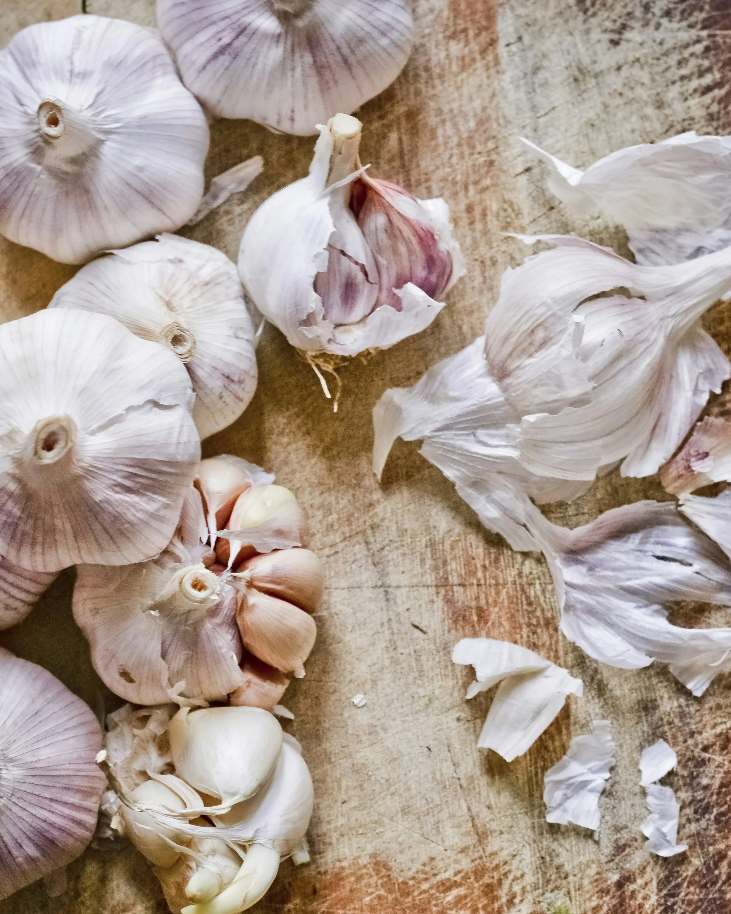 Growing garlic in Melbourne