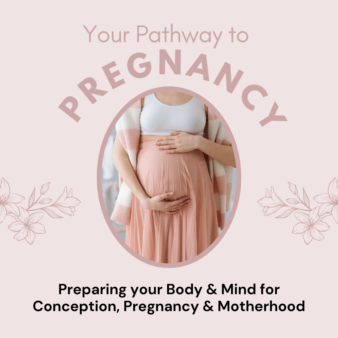 Your Pathway to Pregnancy