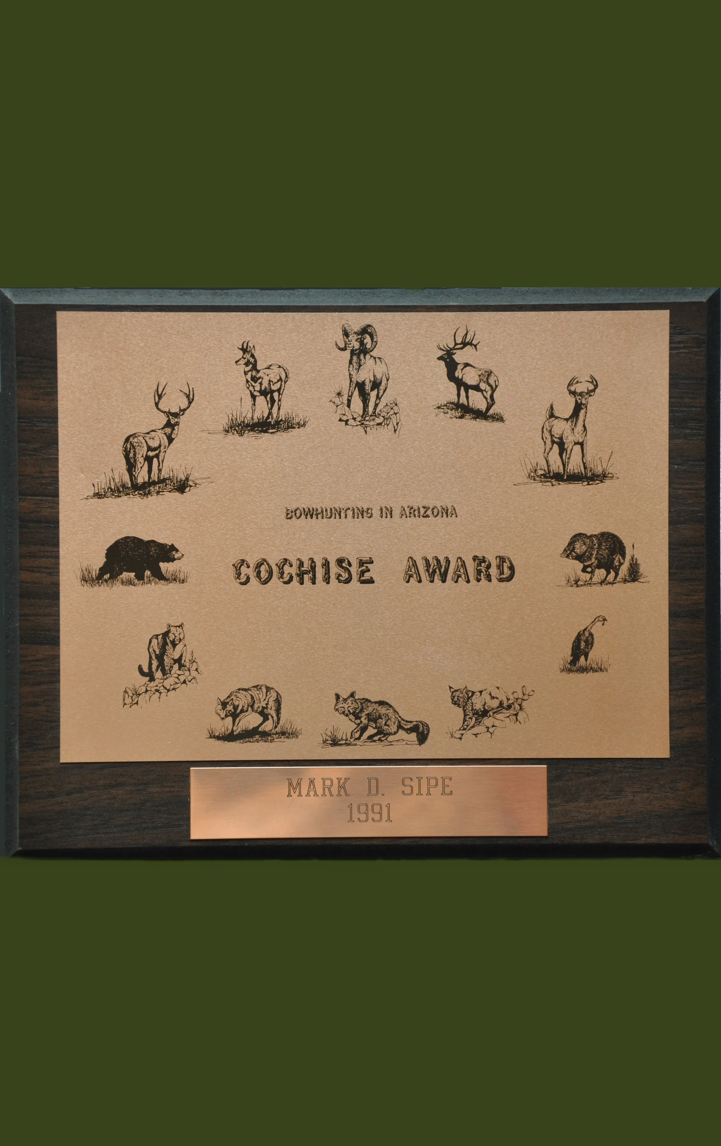 Cochise Sipe Website.jpg