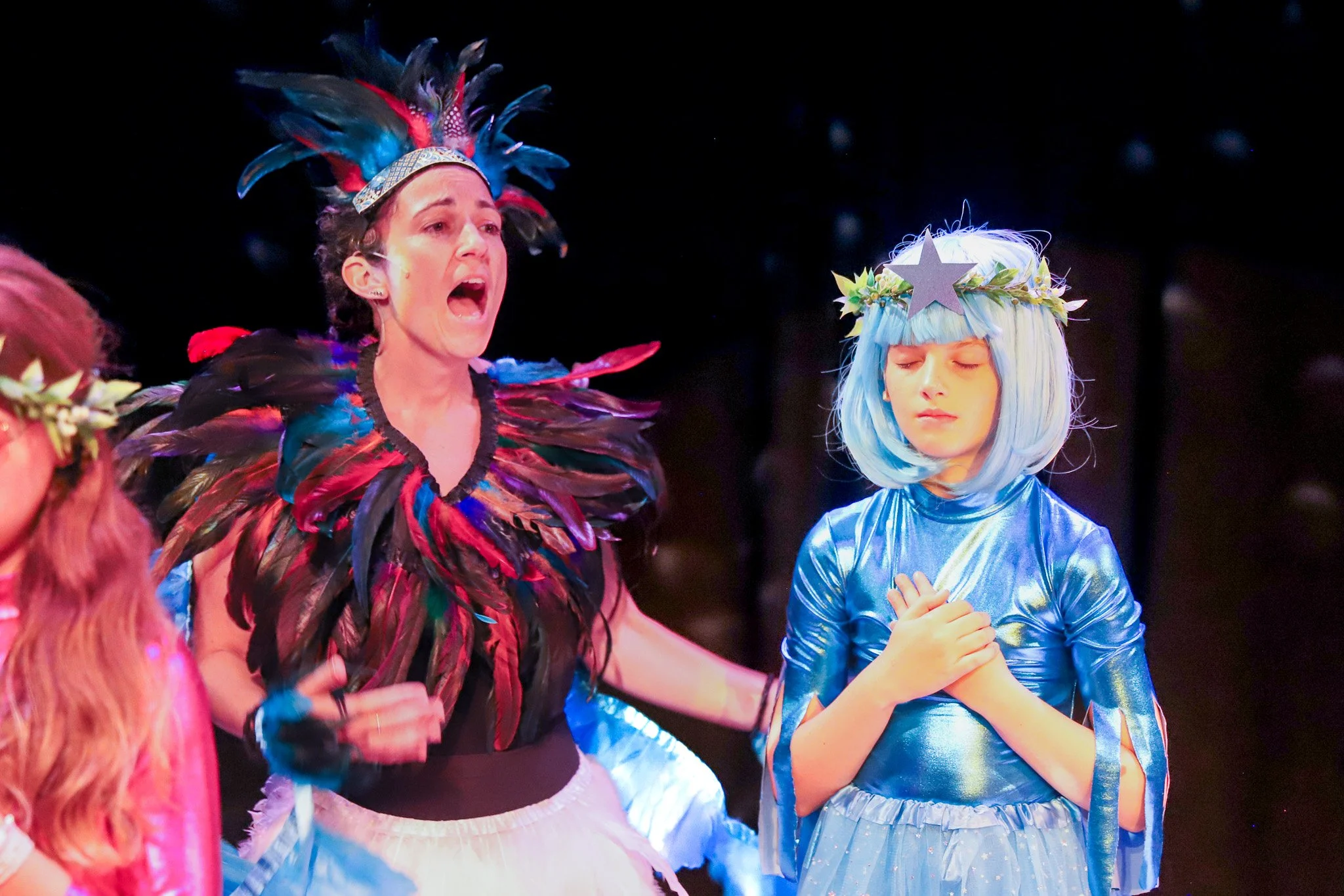 Wise Owl Wisdom underway