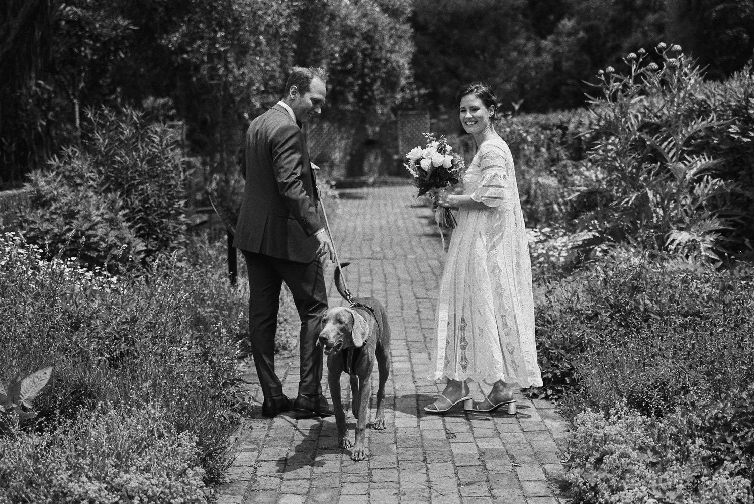 Natasha &amp; Felix | Wellington Botanic Gardens