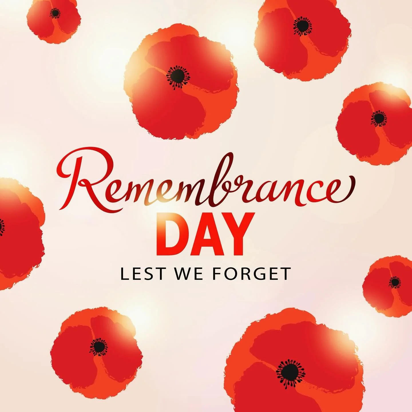 They shall grow not old, as we that are left grow old:
Age shall not weary them, nor the years condemn.
At the going down of the sun and in the morning
We will remember them #11:11#remembranceday#werememberthem