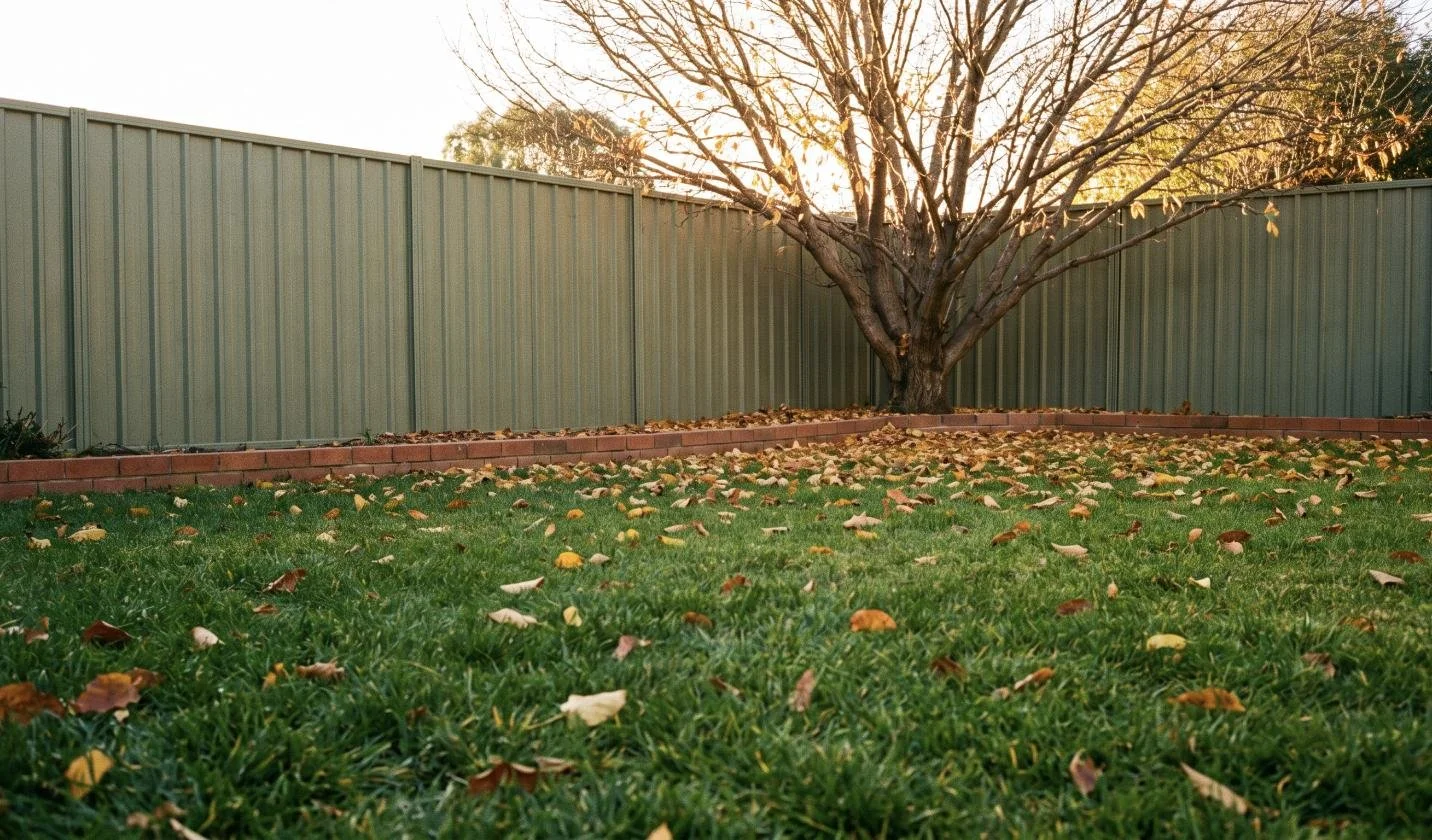 Autumn Lawn Care in Canberra: My Cool Season Reset