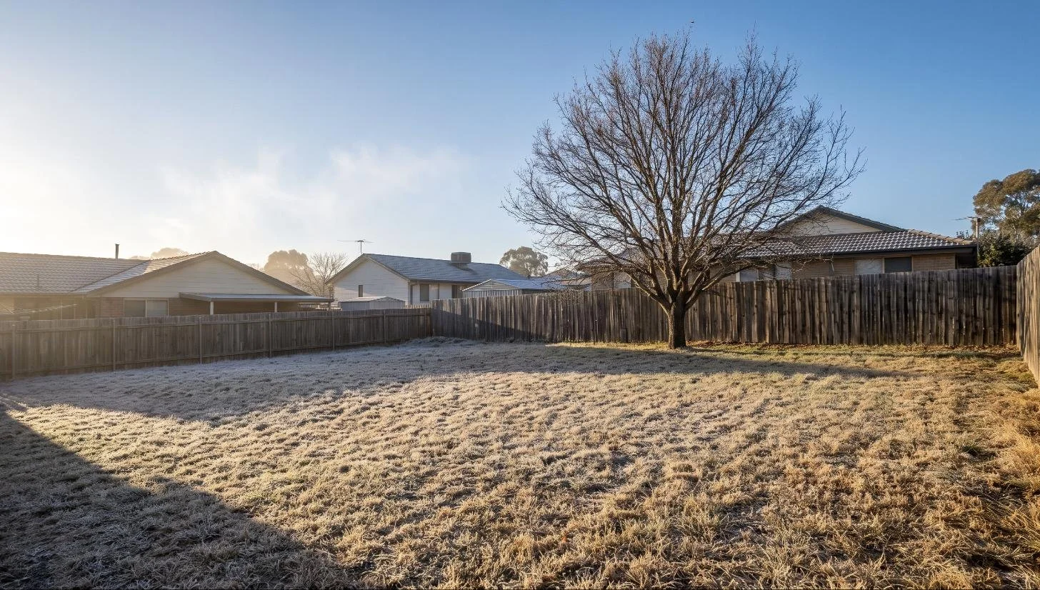 Frost Damage on Canberra Lawns: What Recovers and What Needs Repair