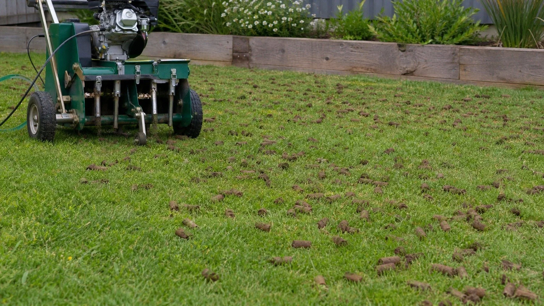 Lawn Aeration and Coring: A Complete Guide for Canberra Homeowners
