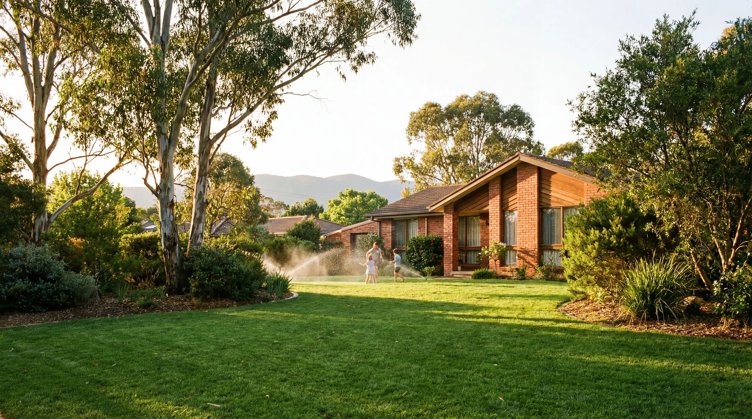Professional Lawn Care Programs in Canberra: How I Keep Lawns Healthy Year-Round