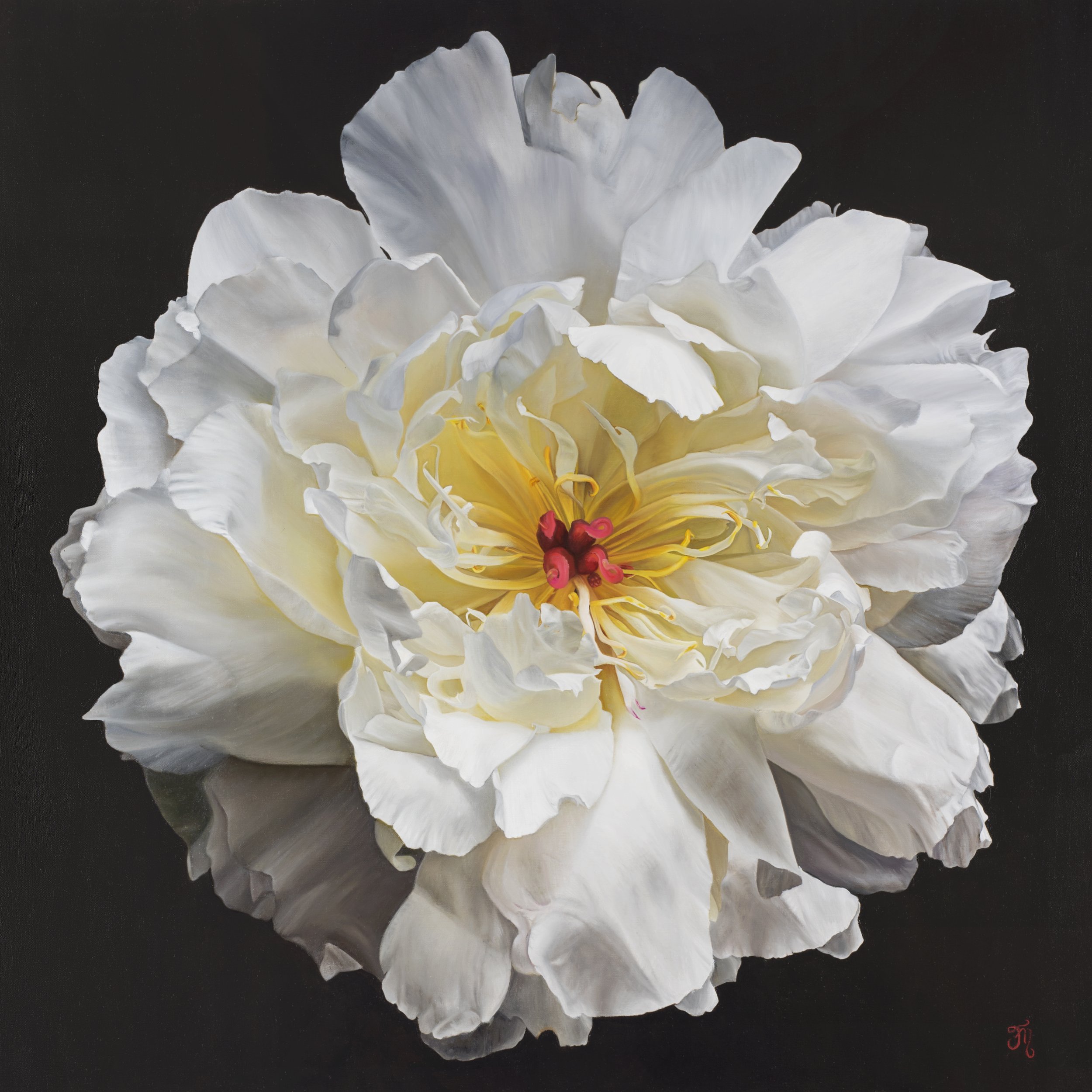 trish-mitchell-white-flower-luminous-grace-oil-painting