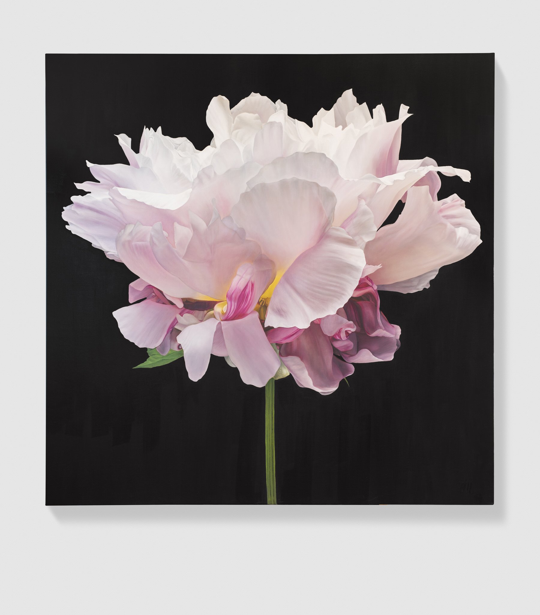 Image 8_Peony 7_TMFA-2.jpg