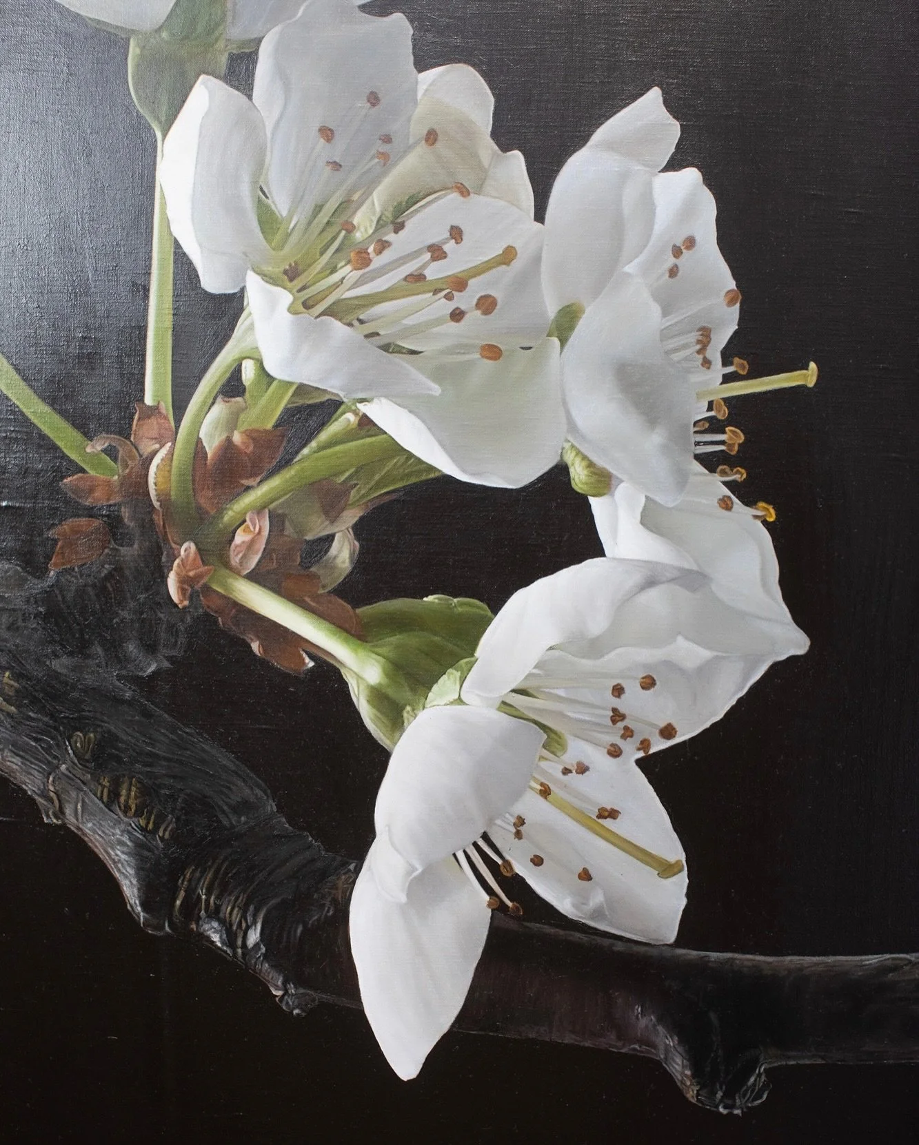I&rsquo;m often asked if my paintings are photographs.

I&rsquo;ve spent years developing the skill to create work that feels lifelike &mdash; that seems to lift from the canvas and breathe. But these aren&rsquo;t just realist paintings. They&rsquo;r