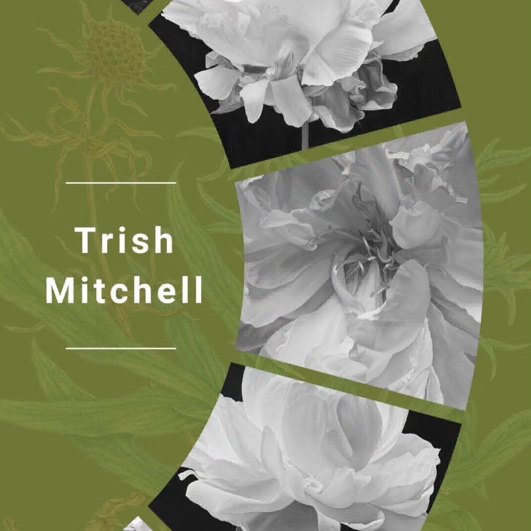 A beautiful welcome.  Thank you, @societybotanicalartists. 🌿

(Shared with thanks &mdash; original post by SBA.)

#SocietyOfBotanicalArtists #BotanicalArt #BotanicalPainting #FineArtRealism