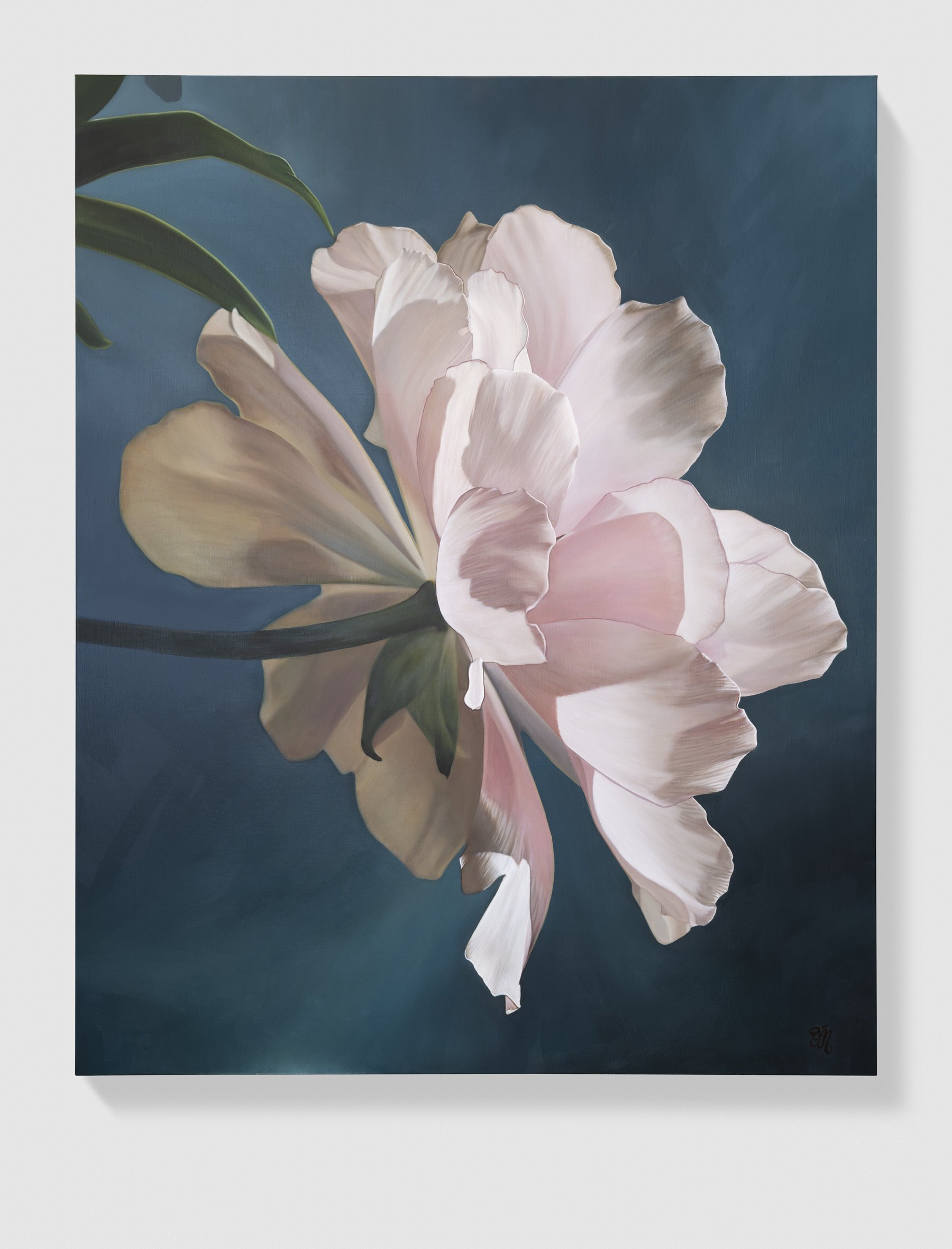 pink-peony-grace-in-bloom-oil-painting-trish-mitchell