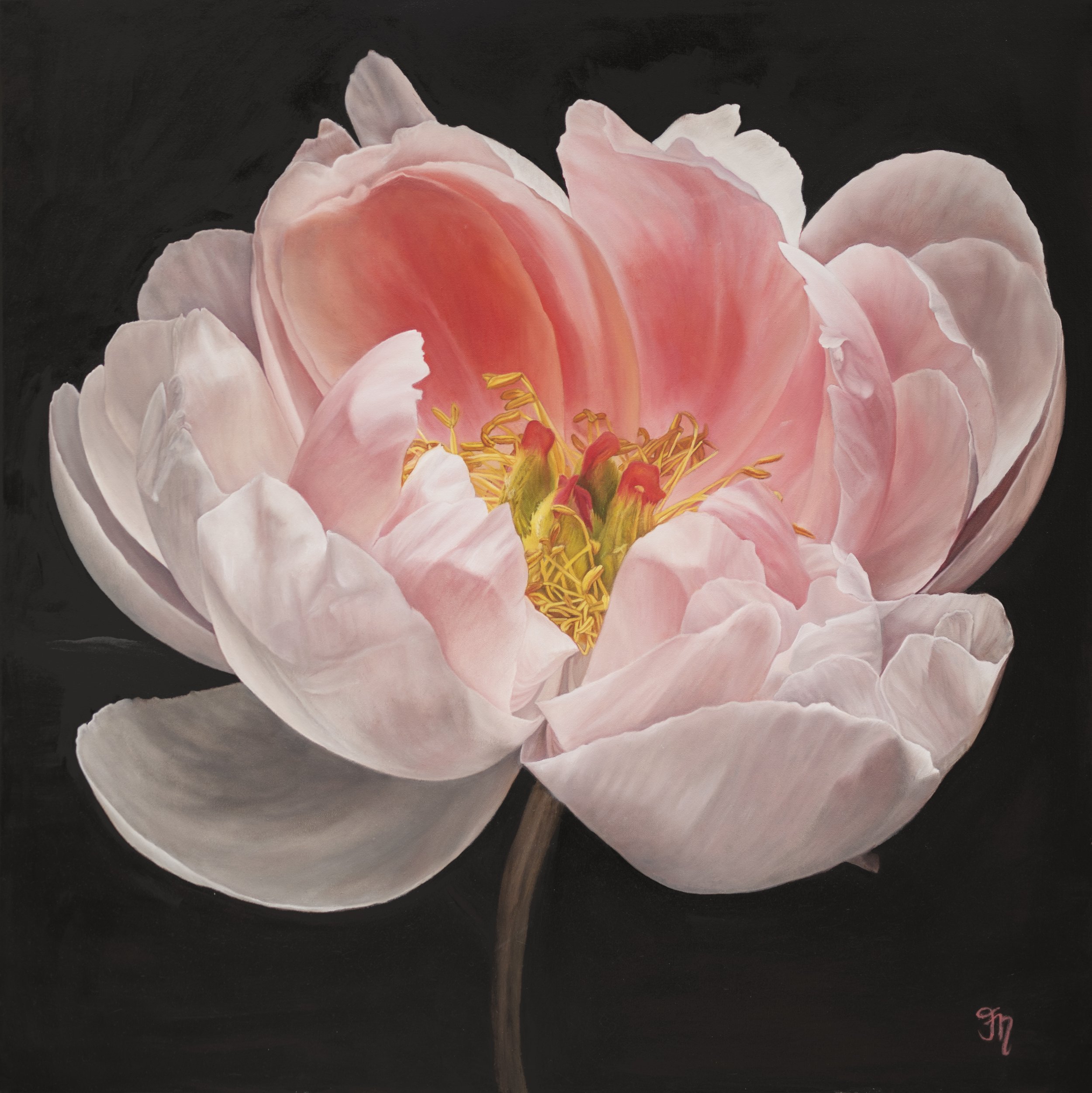trish-mitchell-pink-peony-flower-embrace-of-light-oil-painting