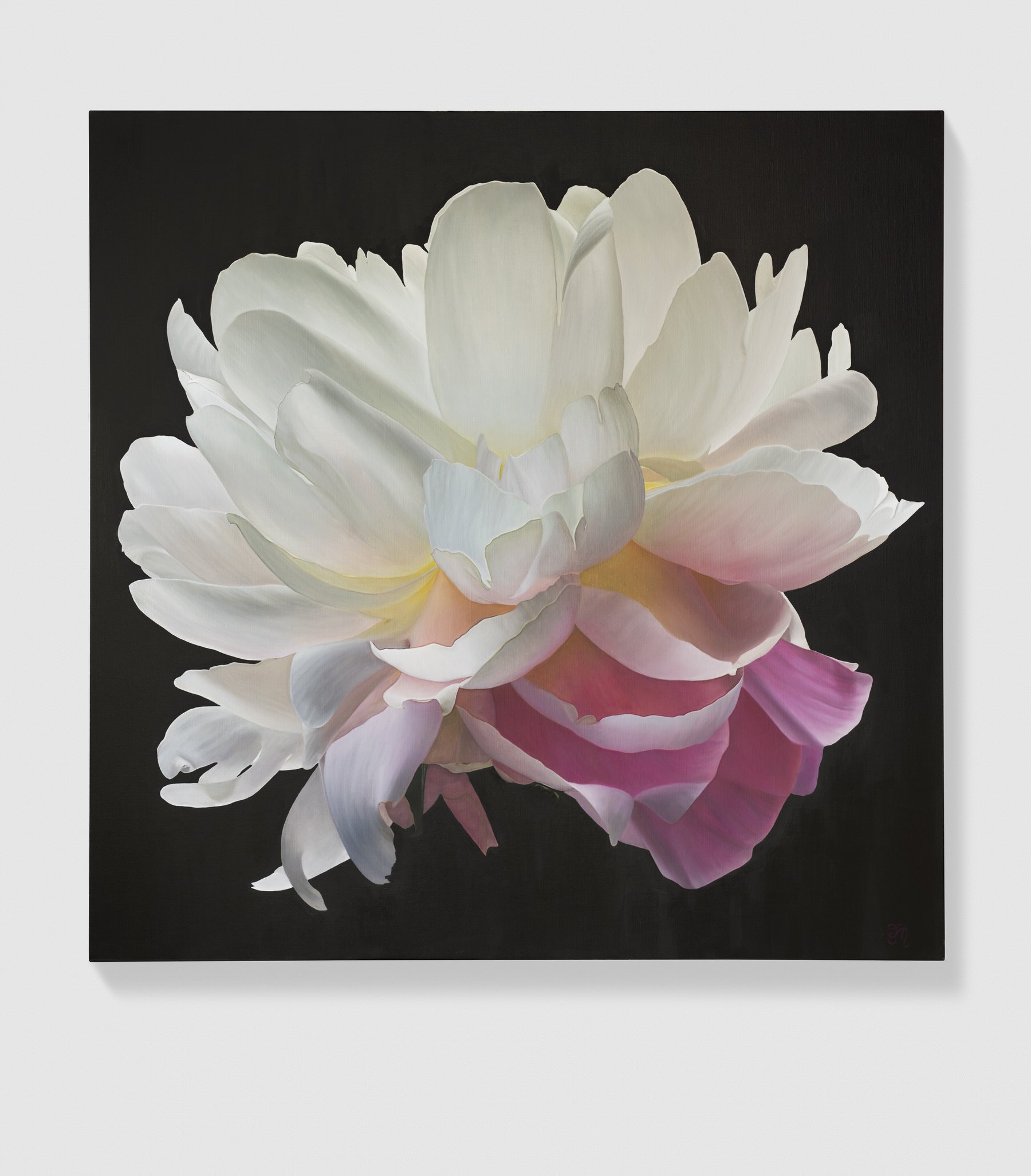 trish-mitchell-white-pink-peony-painting-veil-of-light