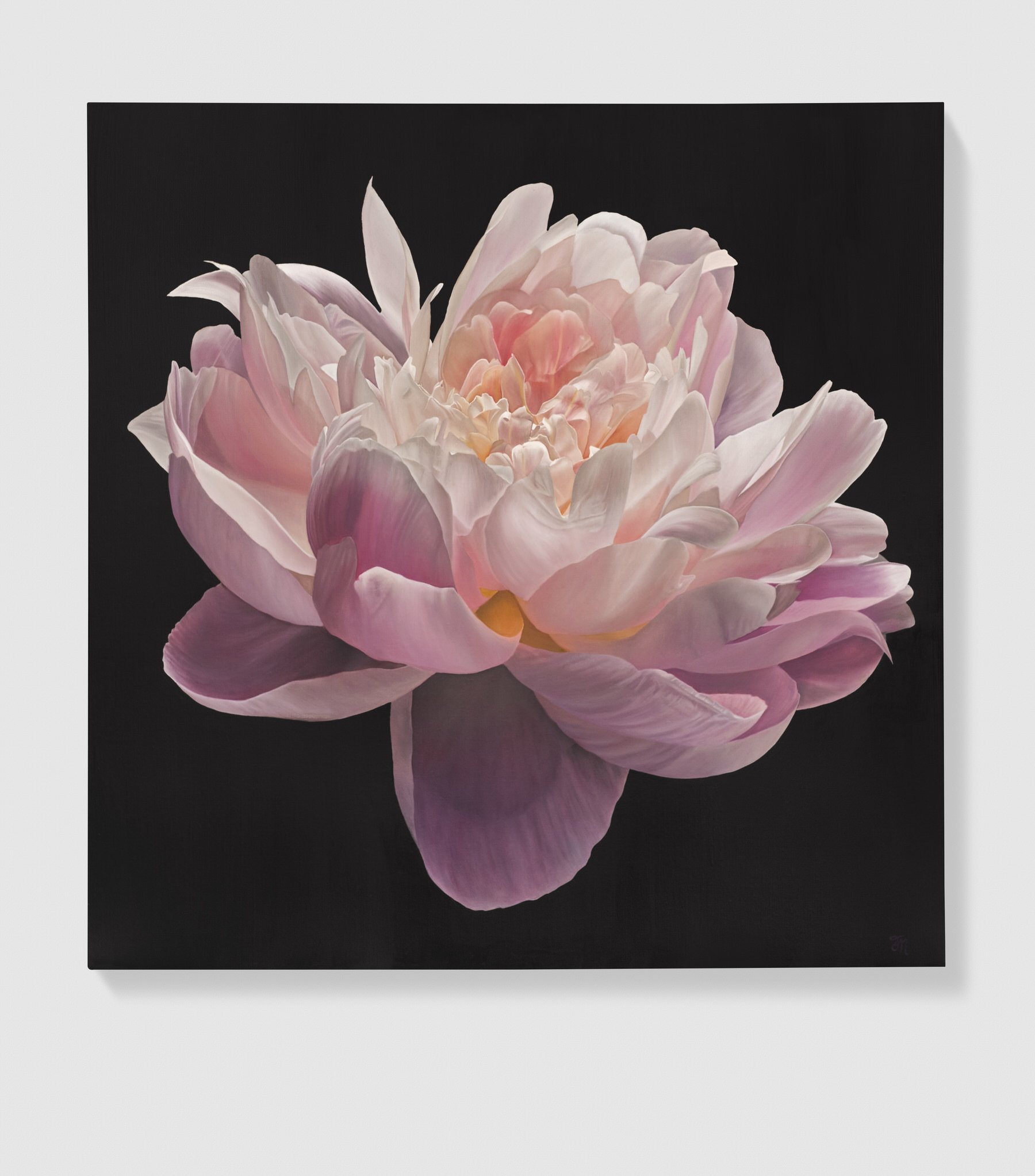 trish-mitchell-pink-peony-flower-awakening-light-oil-painting-london
