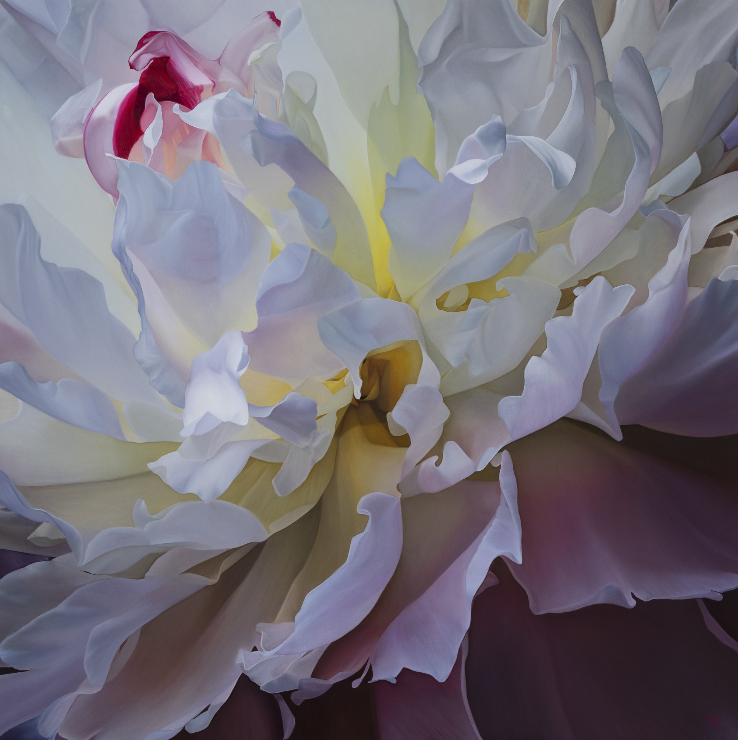 trish-mitchell-radiant-harmony-pink-purple-peony-oil-painting