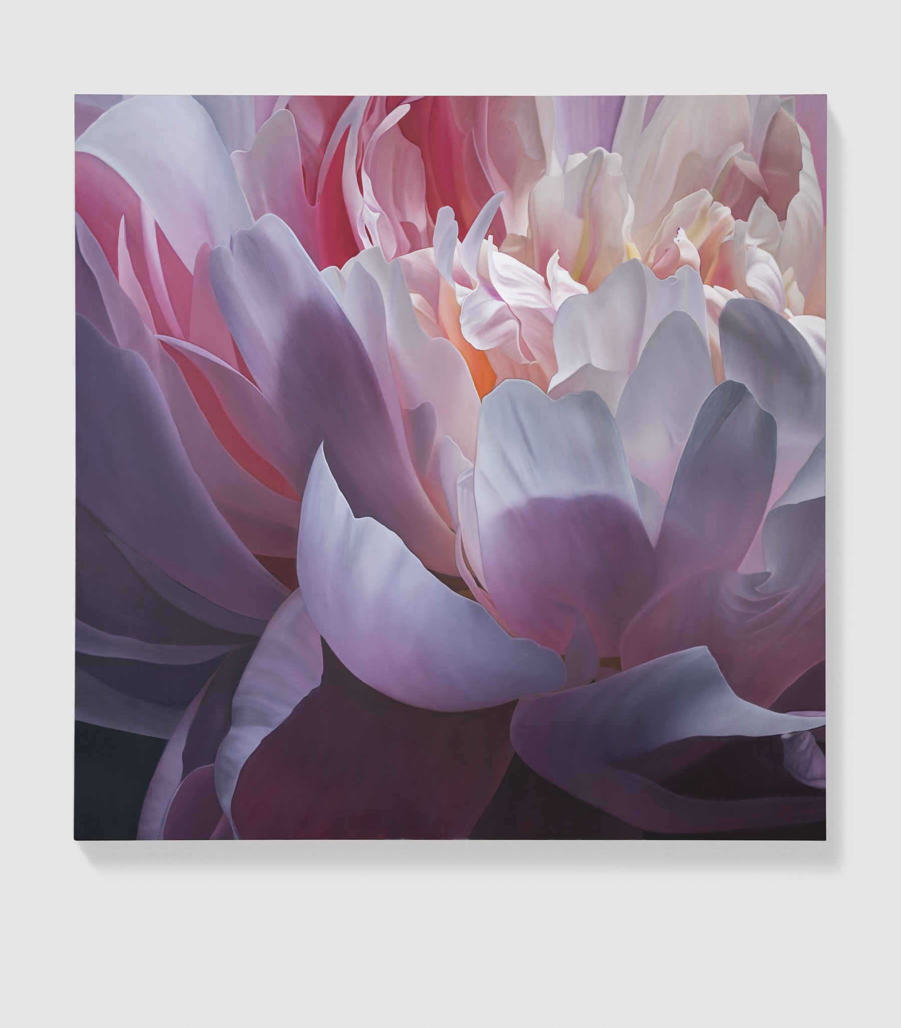 trish-mitchell-blush-of-dawn-pink-purple-peony-oil-painting
